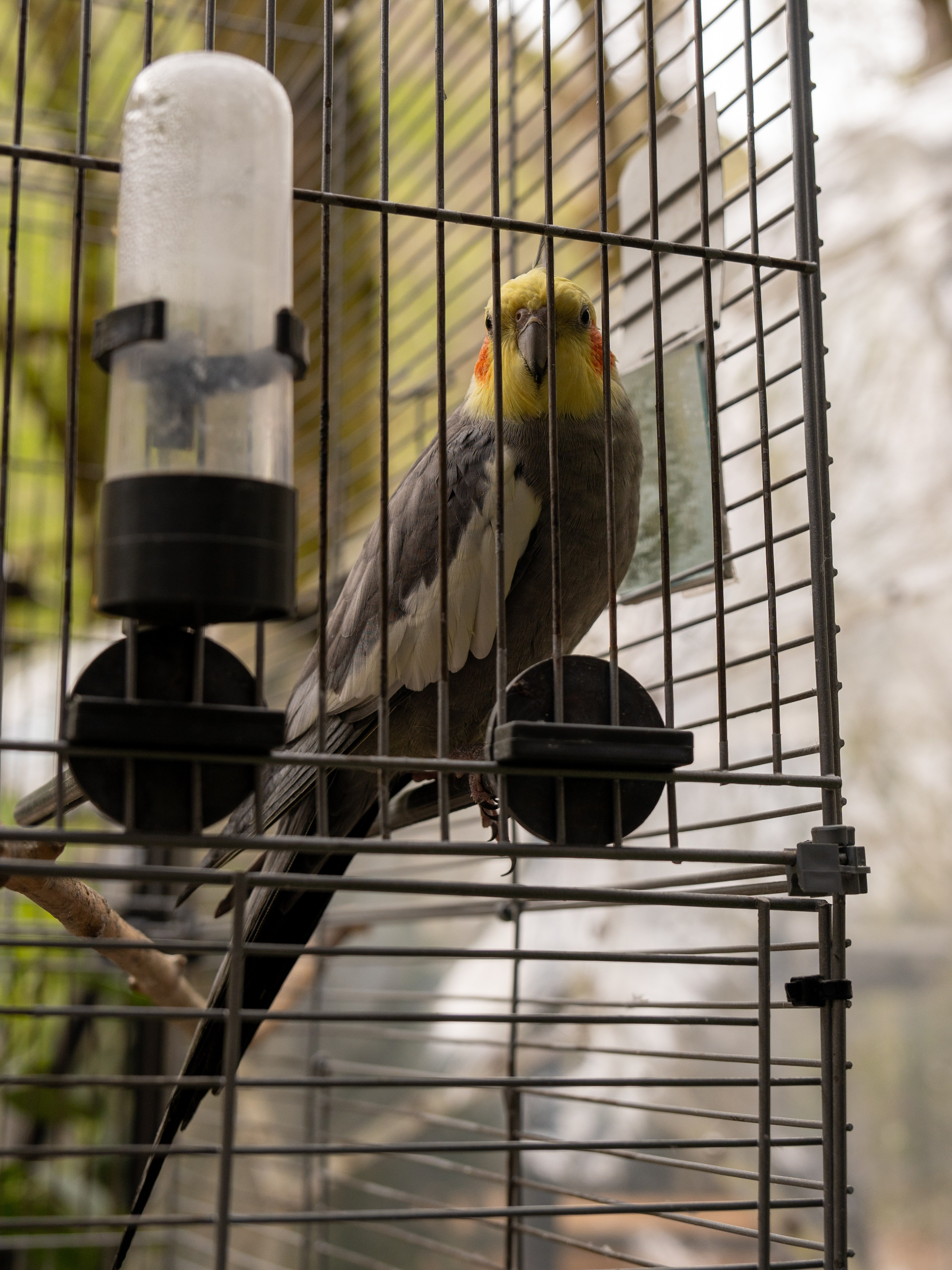 MICE мероприятие — джиппинг на каньон Псахо. Репортажный фотограф в Красной Поляне и Сочи Павлюченко Екатерина