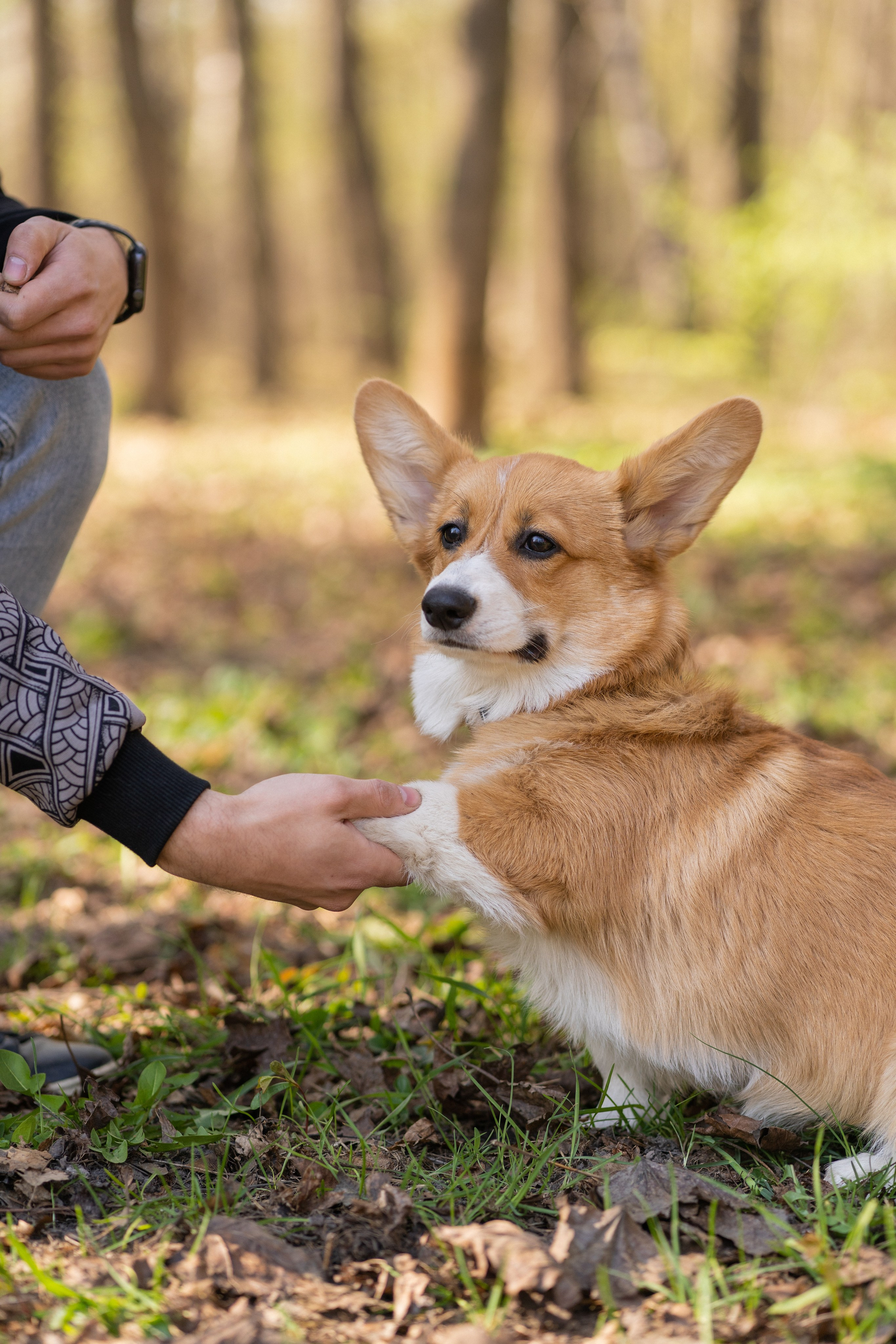 Саша, Настя, Луна. Свадебный фотограф в Москве Анна Полушина