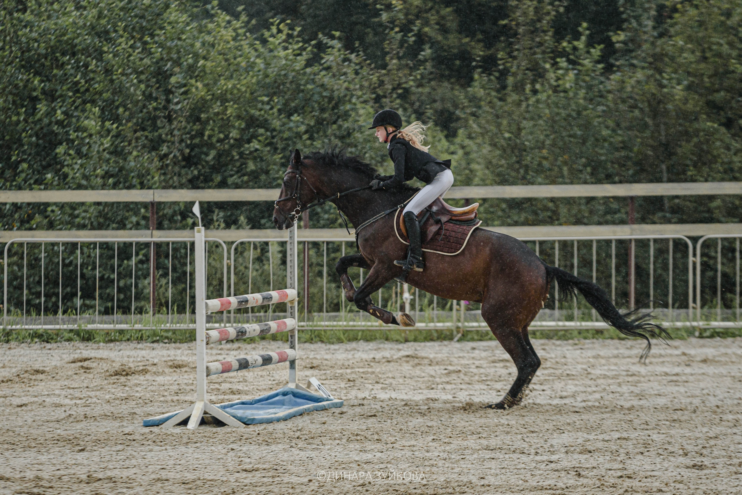 Кони. Мотофотограф в Нижнем Новгороде Динара Зуйкова