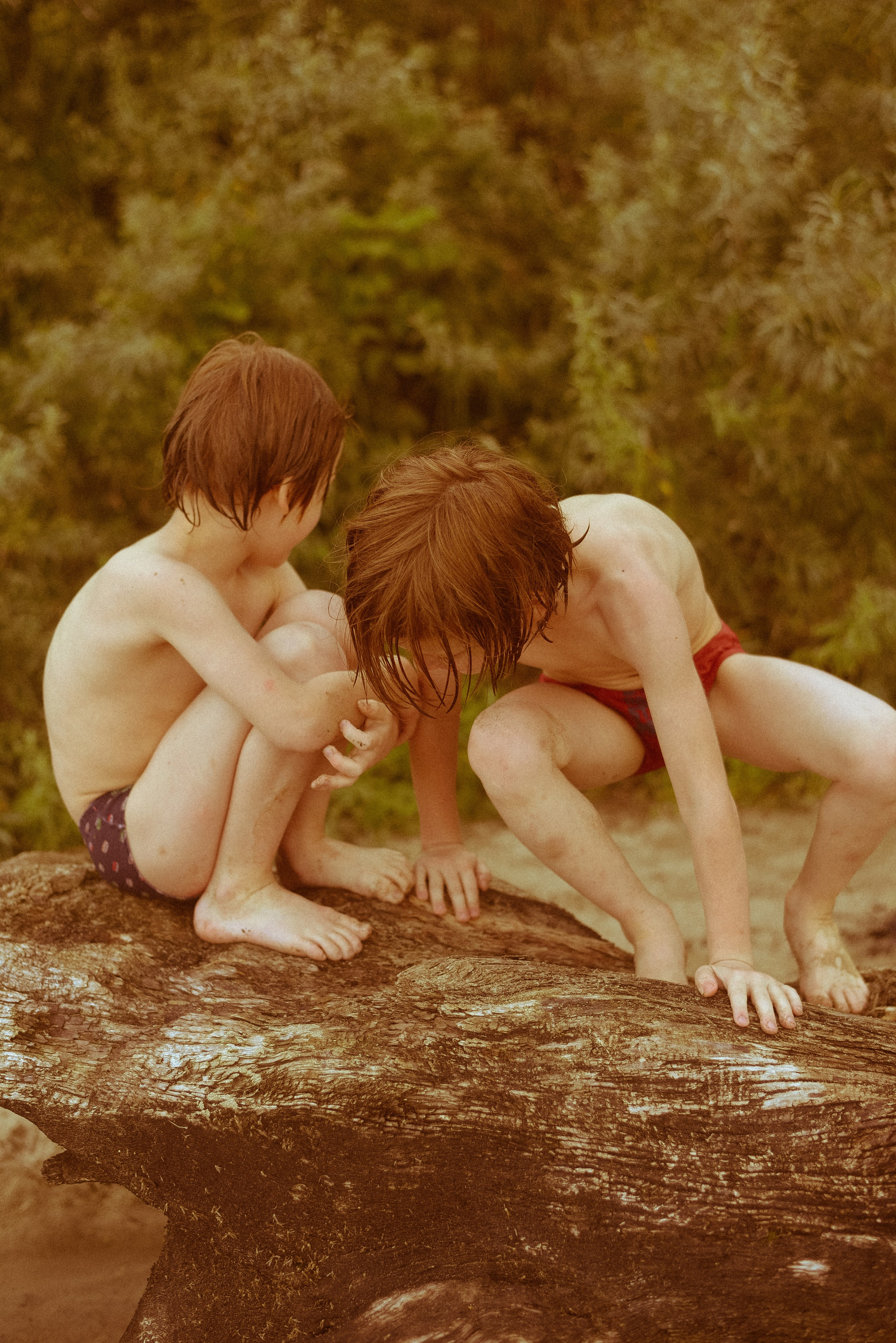 Берег, рак и капибара. Детский и семейный фотограф в Новосибирске Саша Дорошенко