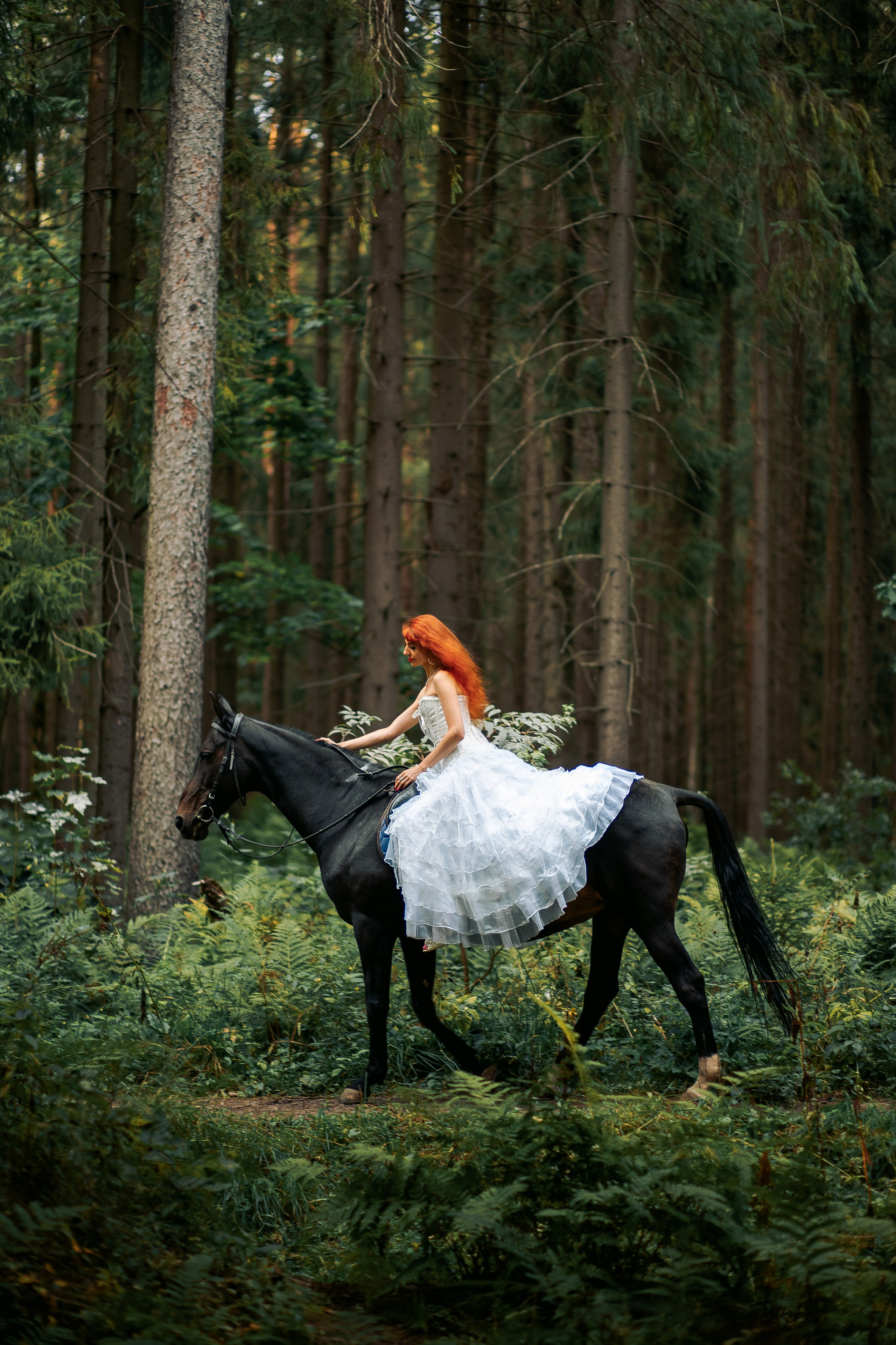Фотосессия с лошадьми в СПБ. Фотограф в Санкт-Петербурге, Анна Скворцова