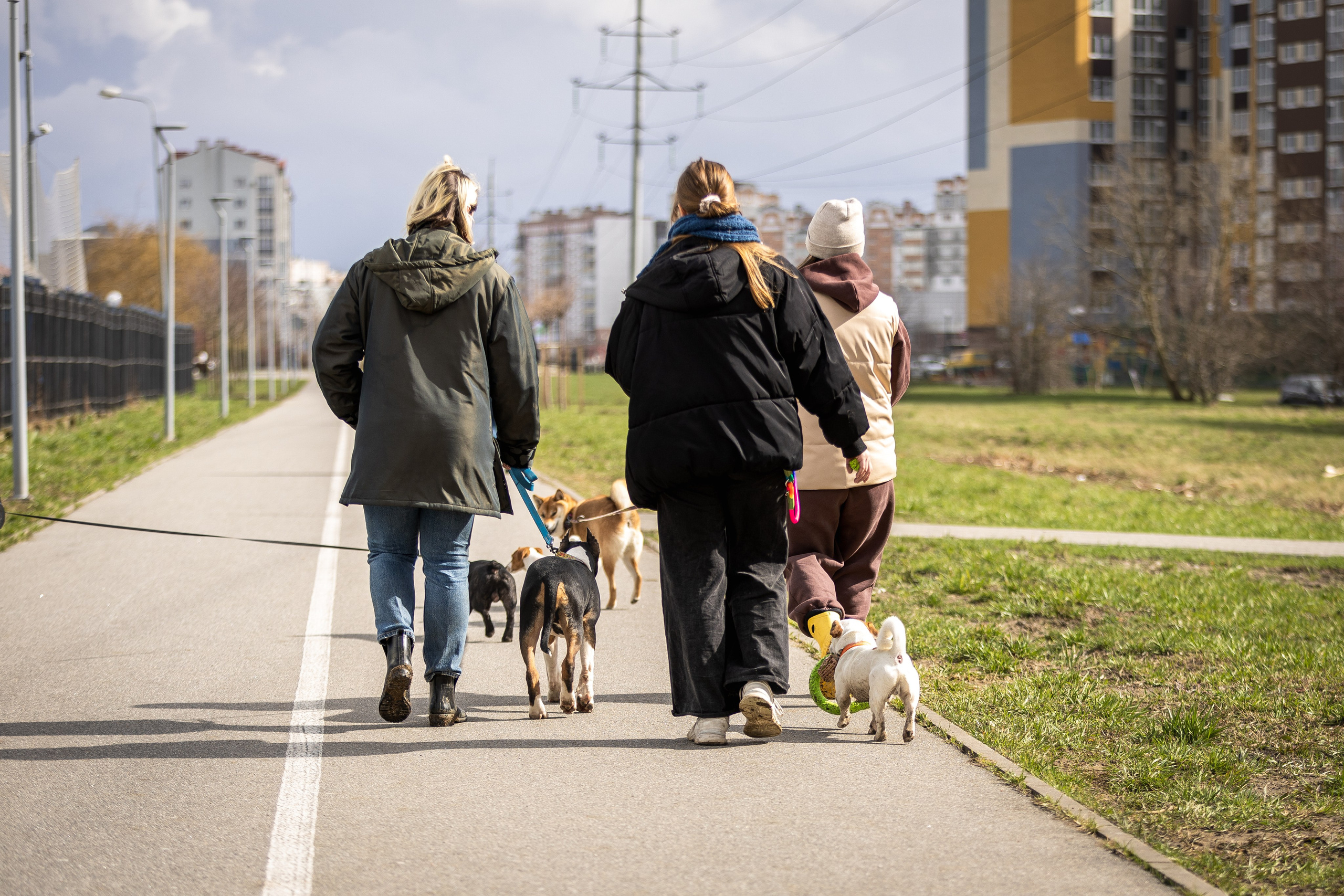Догтуса 24.03.2024. Ирина Голомб|Фотограф-анималист в  Сочи и Калининграде