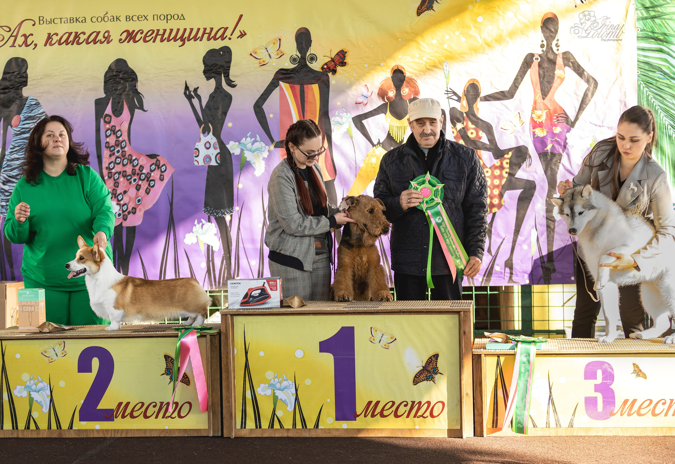 Выставка 25.02.2024. Ирина Голомб|Фотограф-анималист в  Сочи и Калининграде