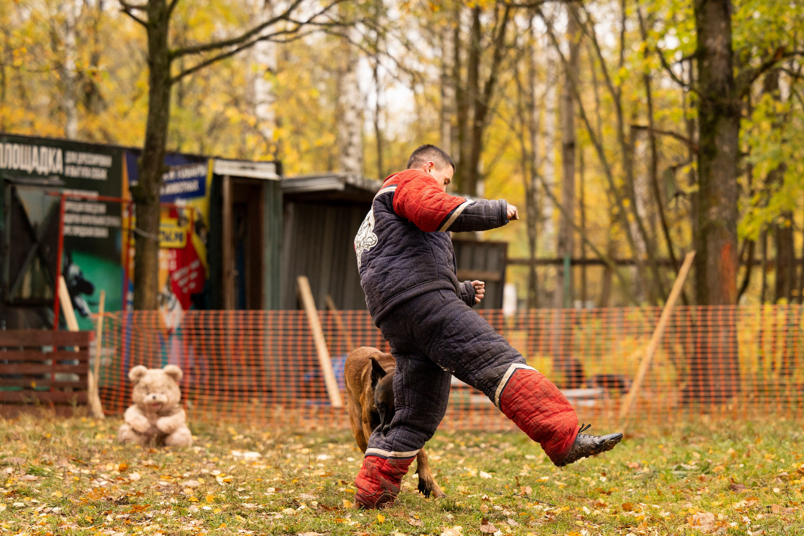 Соревнования по Мондьорингу г. Вологда. Фотограф-анималист Анна Маринич