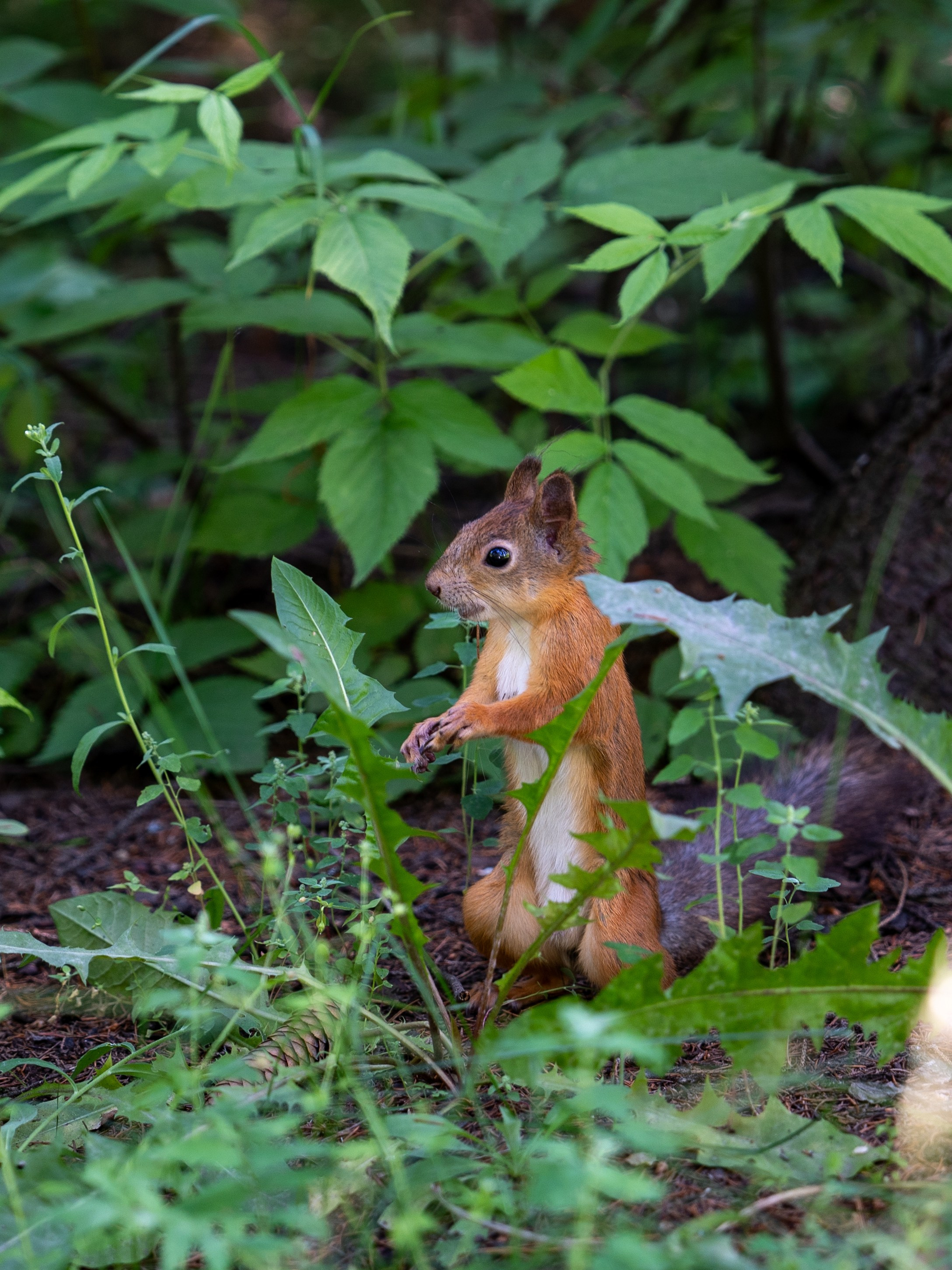 Серёжа и Юля. Фотограф Наталья Сорока Ижевск