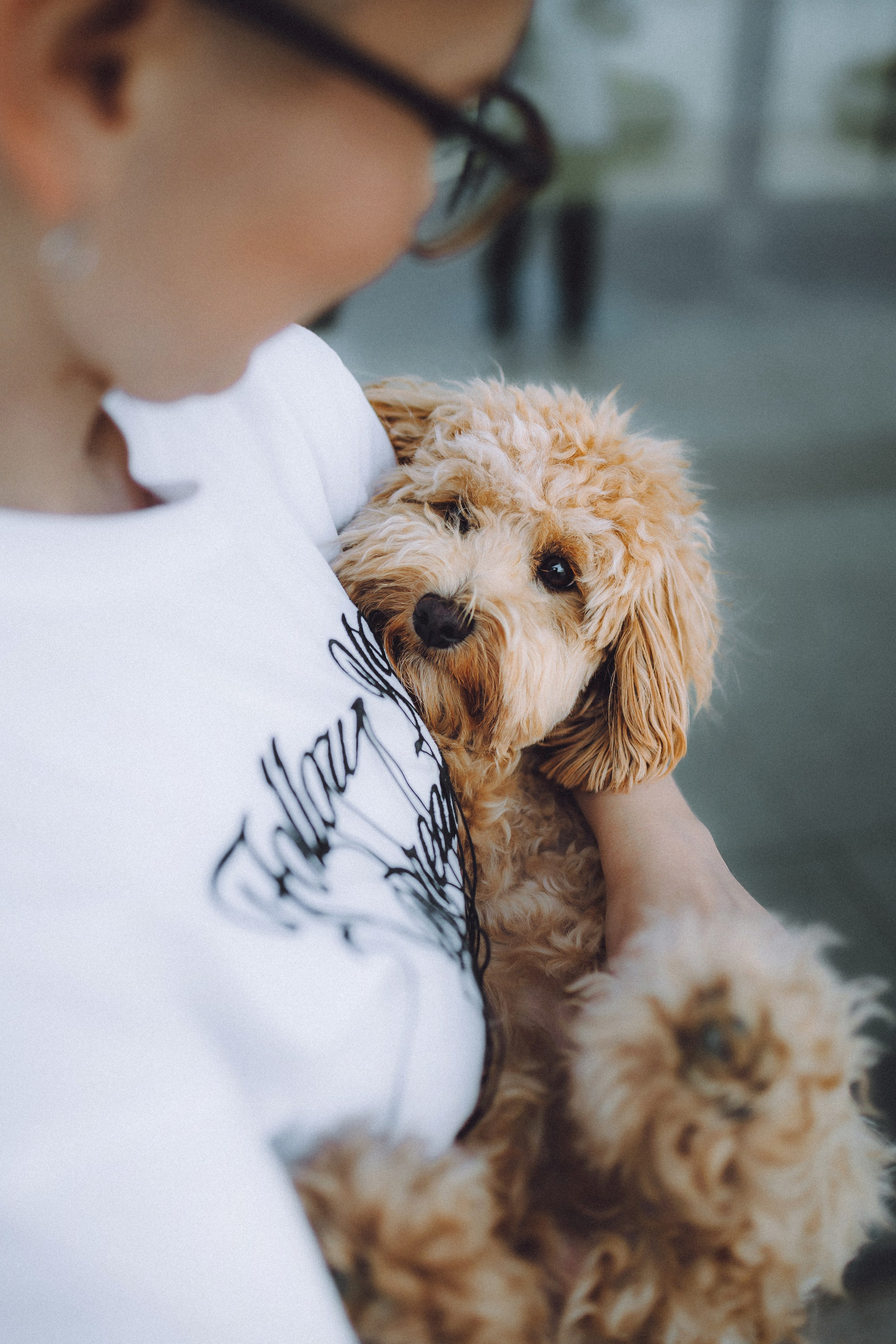 Фред и его семья