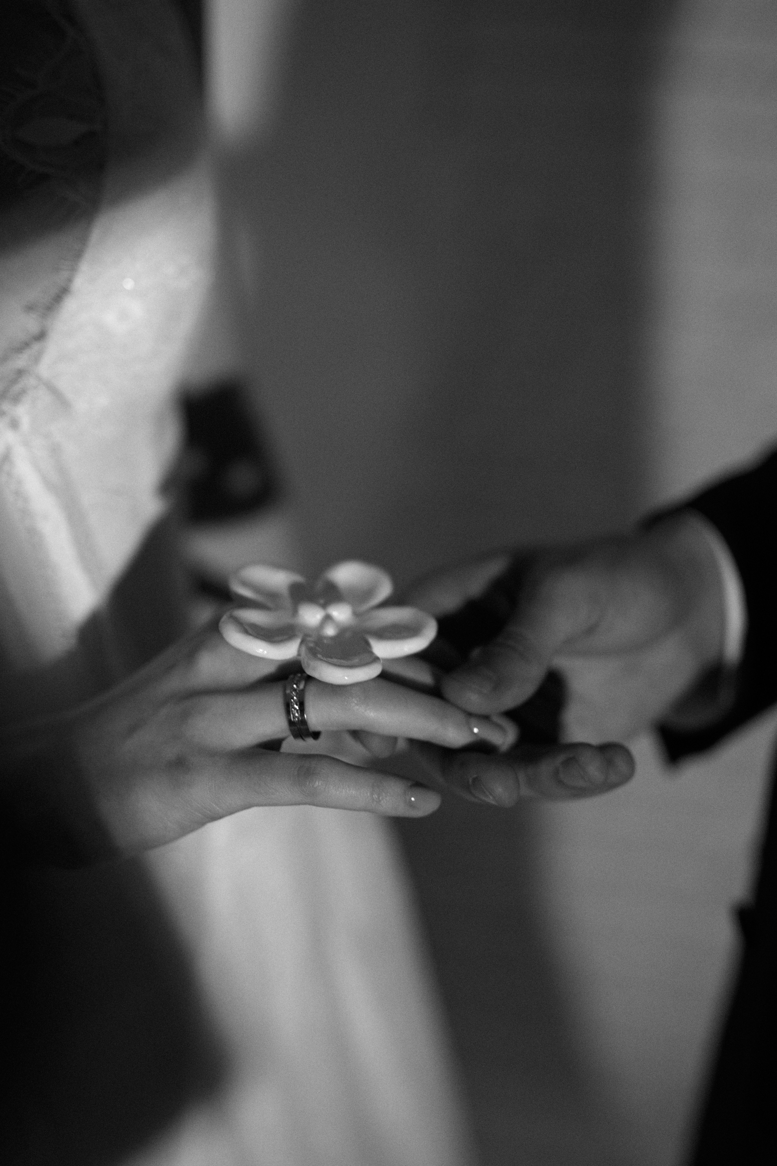 Свадьбы. Фотографы в Москве Антон и Ольга Беловы