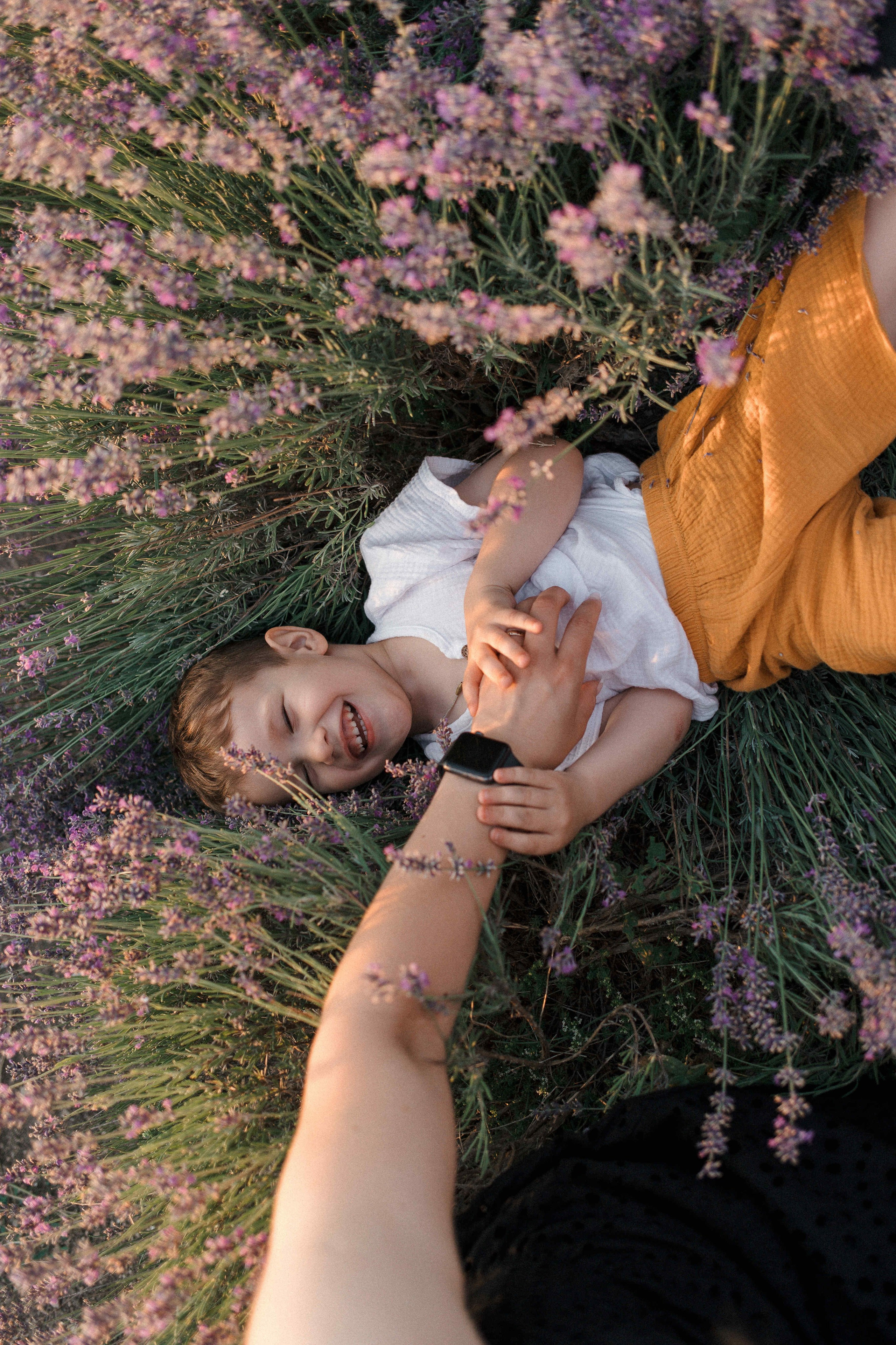 Лаванда. Свадебный фотограф Мироманов Николай в Крыму