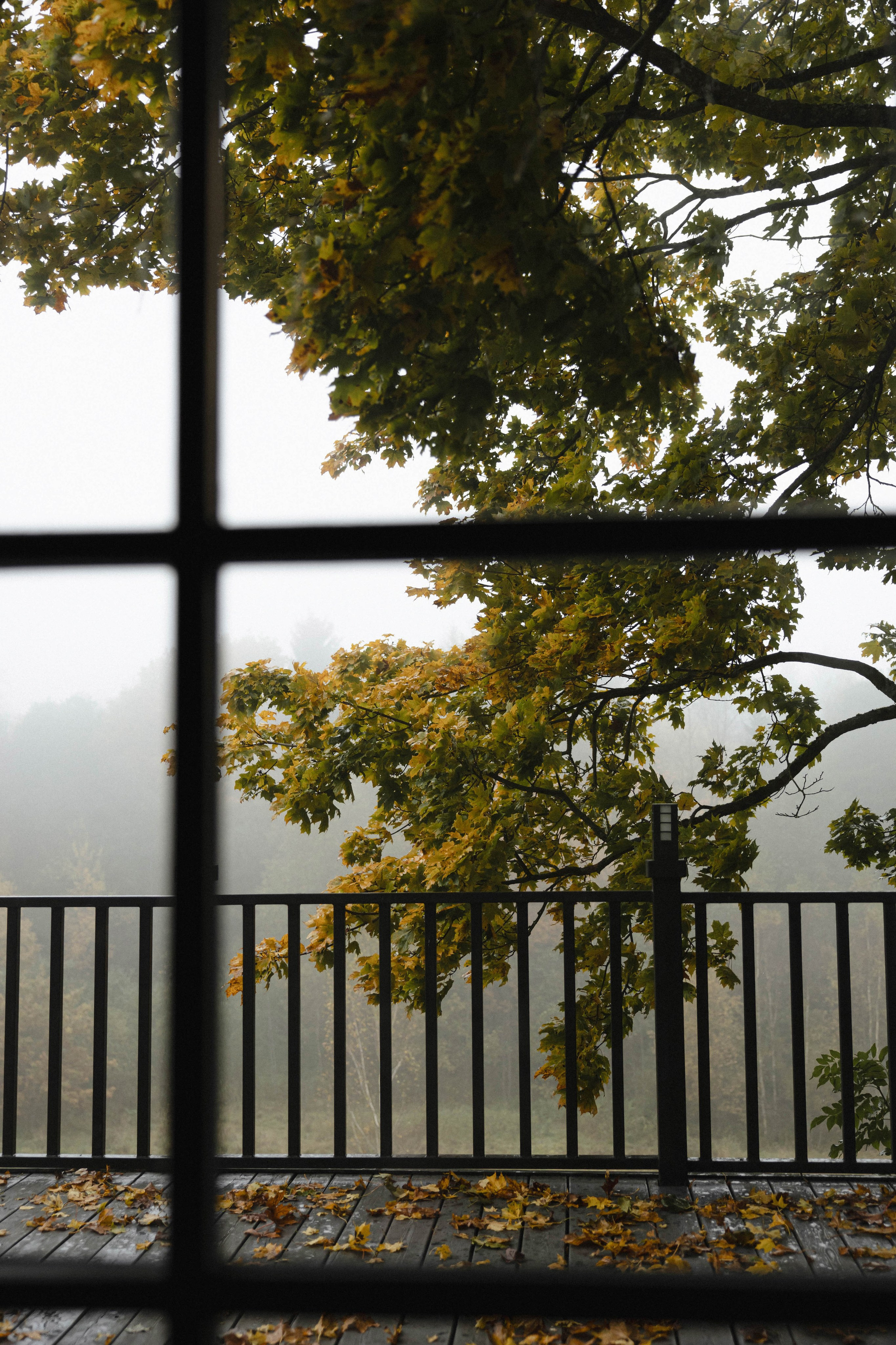 Igor & Rita. Портретный фотограф в Минске Анастасия Воробей