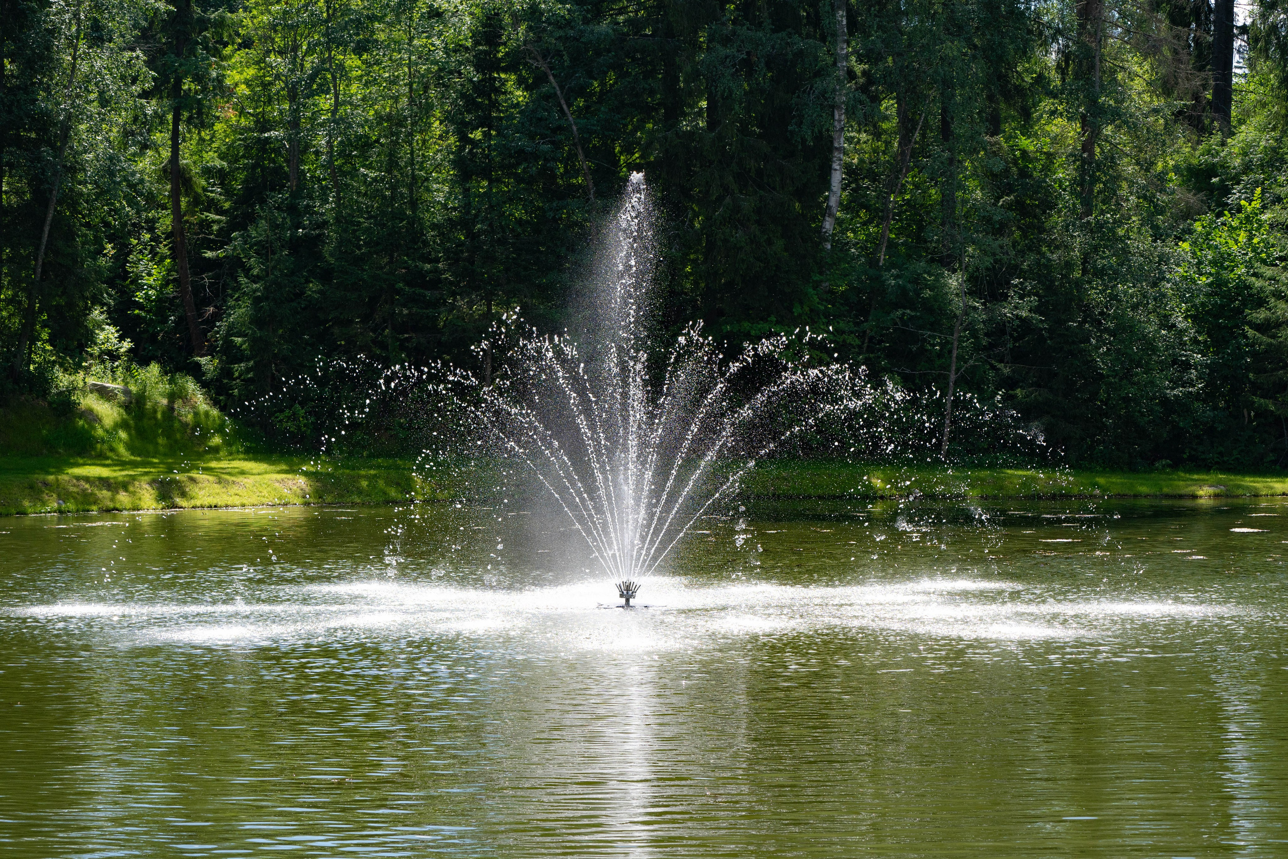 ФК Спартак Орехово на озере Лесное. Фото и видео съёмка на заказ. VAU Studia. Москва