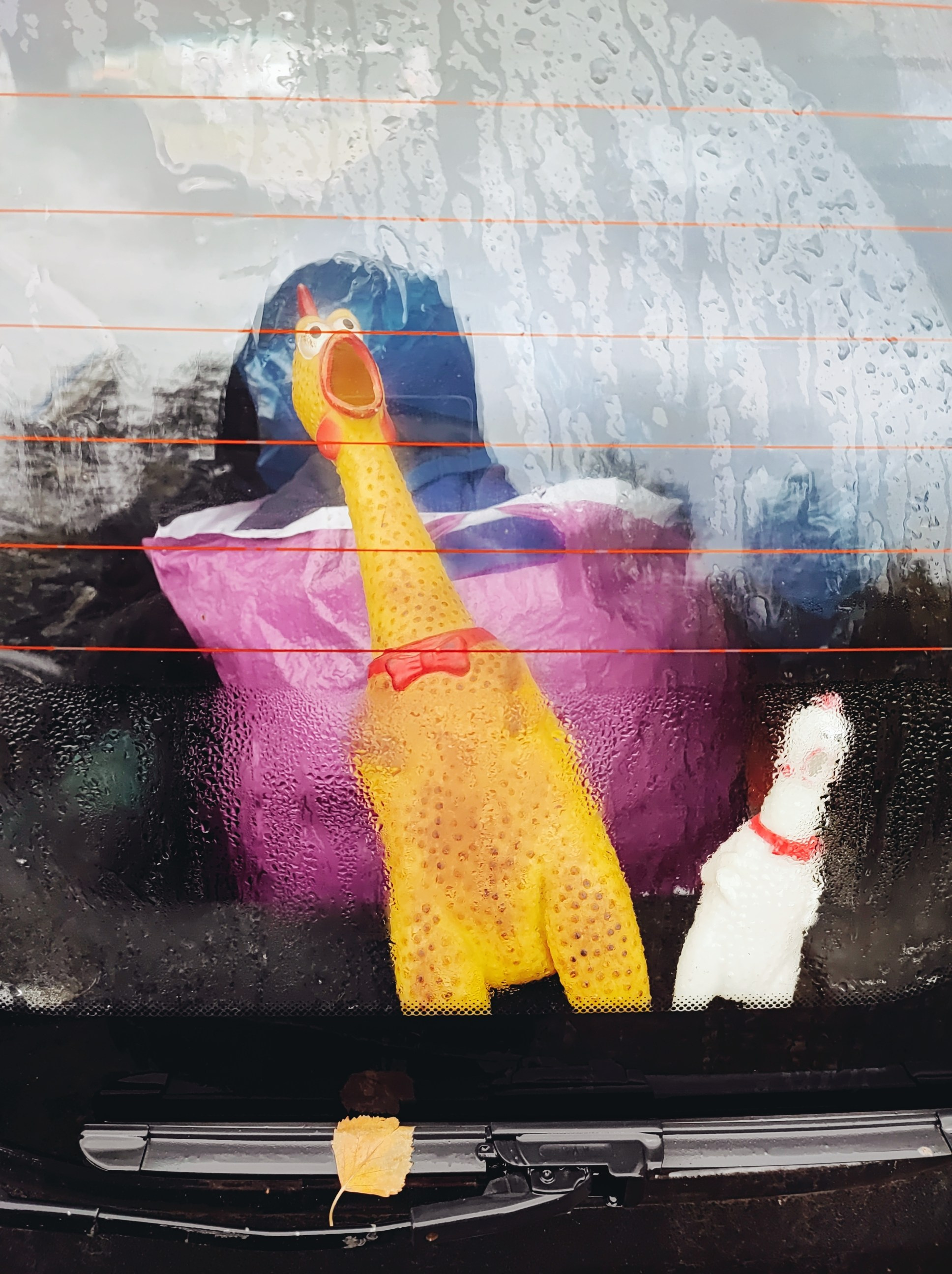 Намобилкус тульский. Репортажный фотограф Алексей Пирязев