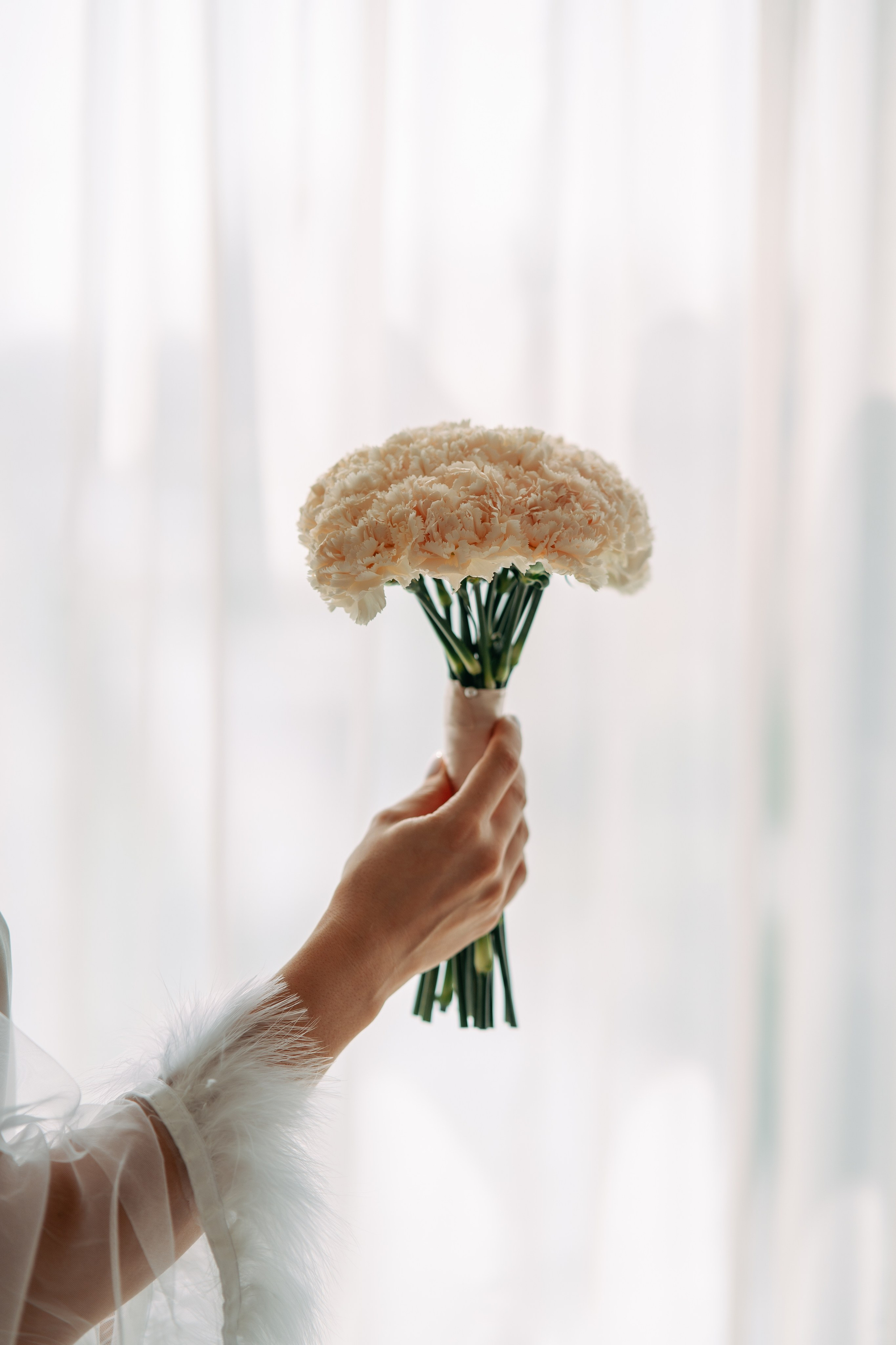 Классика. Фотограф Мария Зайчик