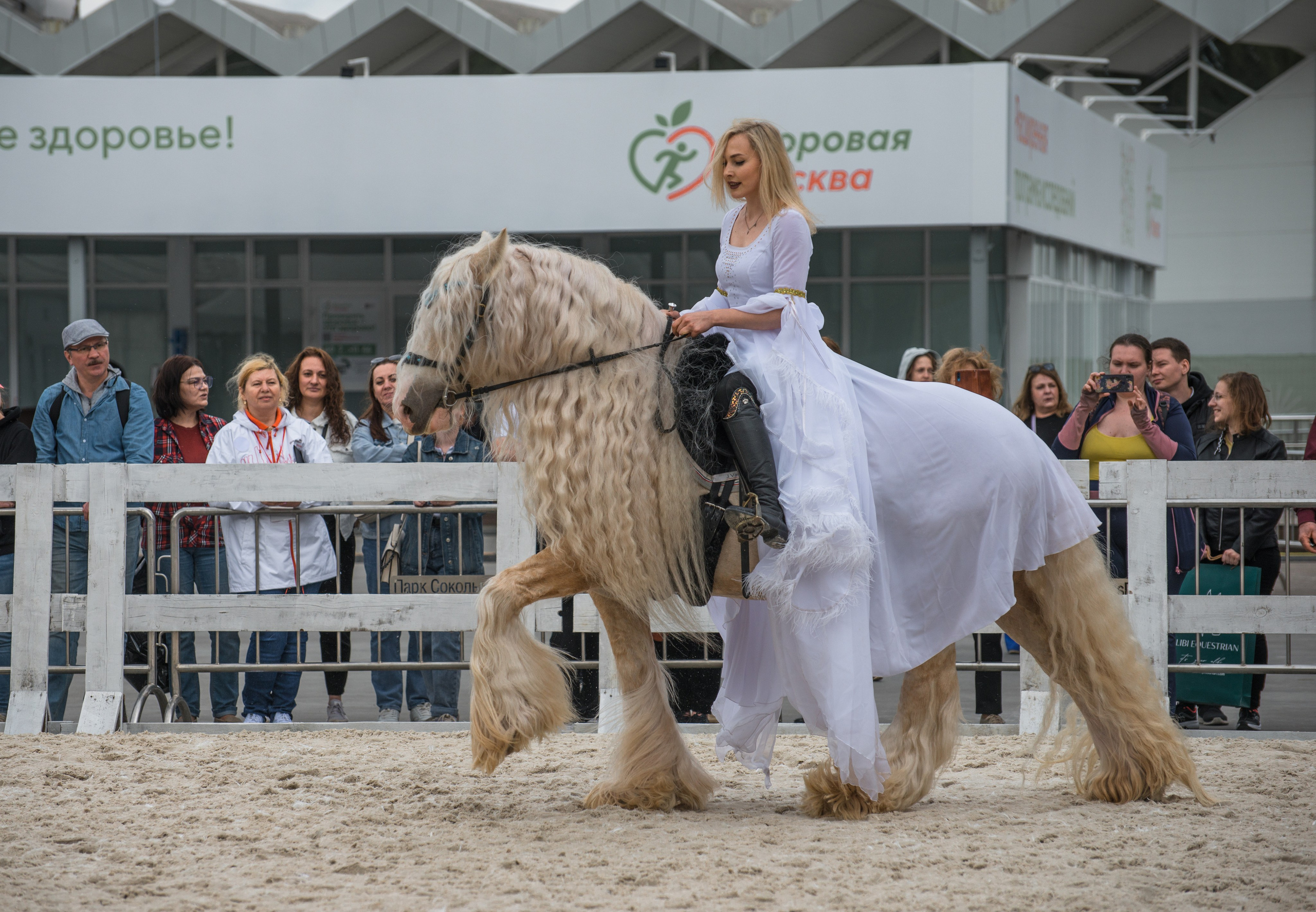 Эквирос, Москва. Конный фотограф в Саратове Юлия Иванова