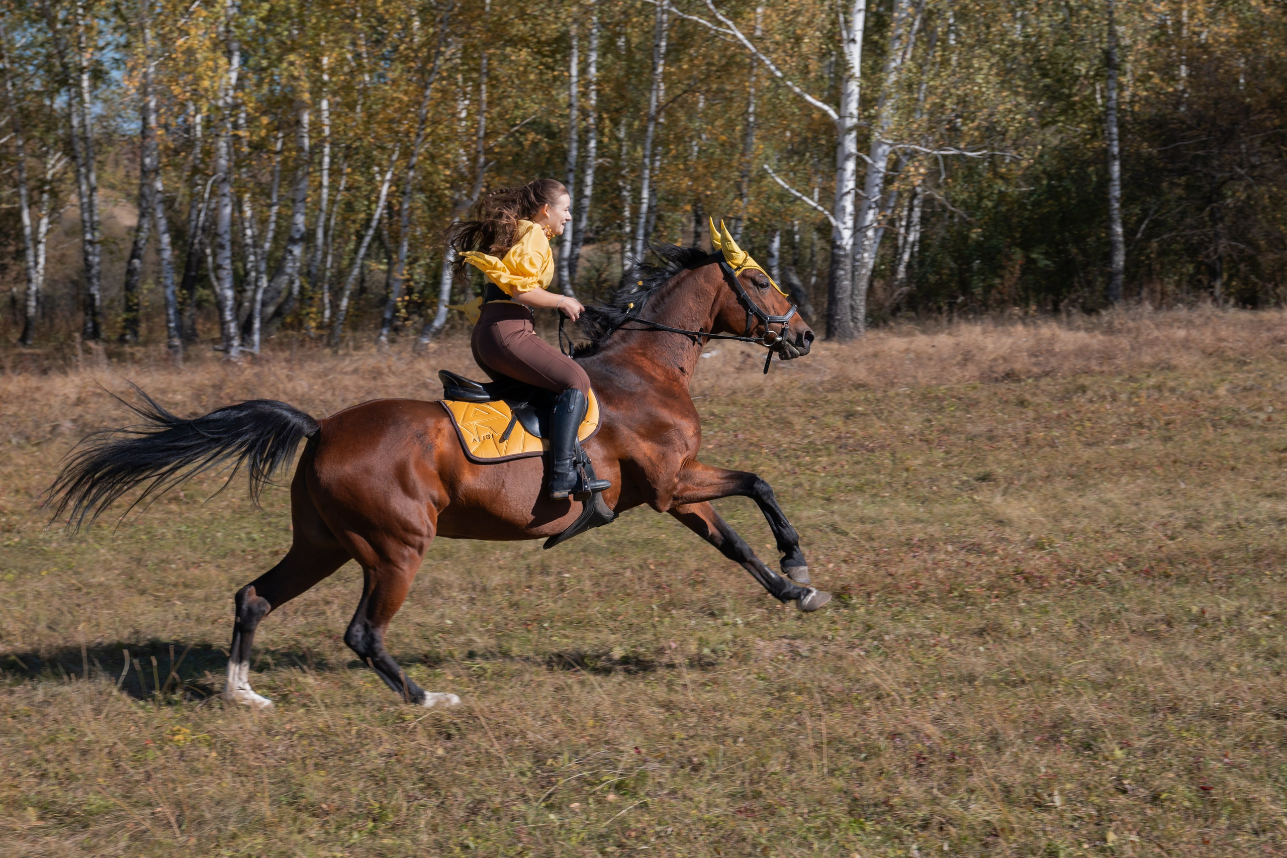 Фотосессия с лошадьми