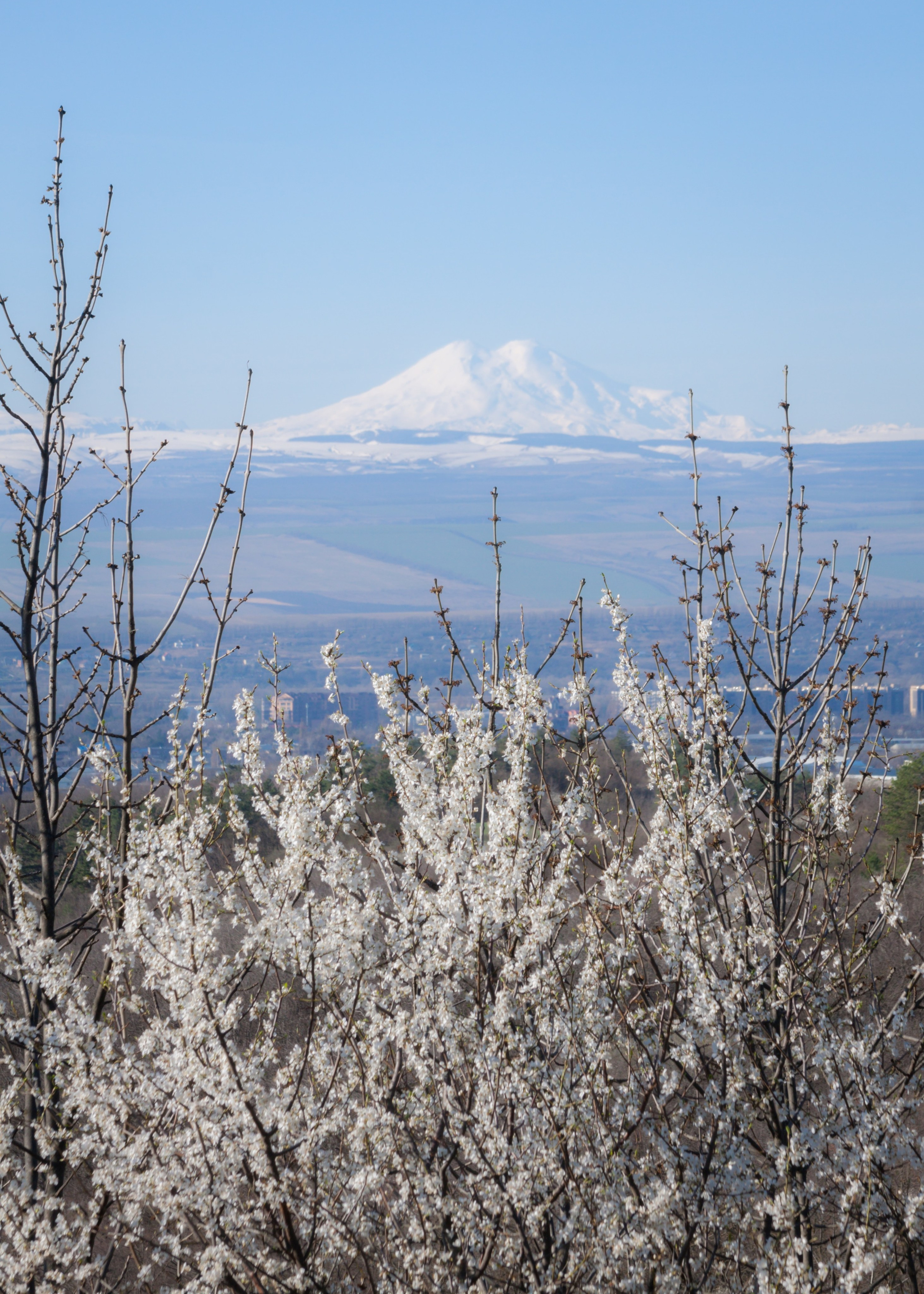 Эльбрус и весна на КМВ