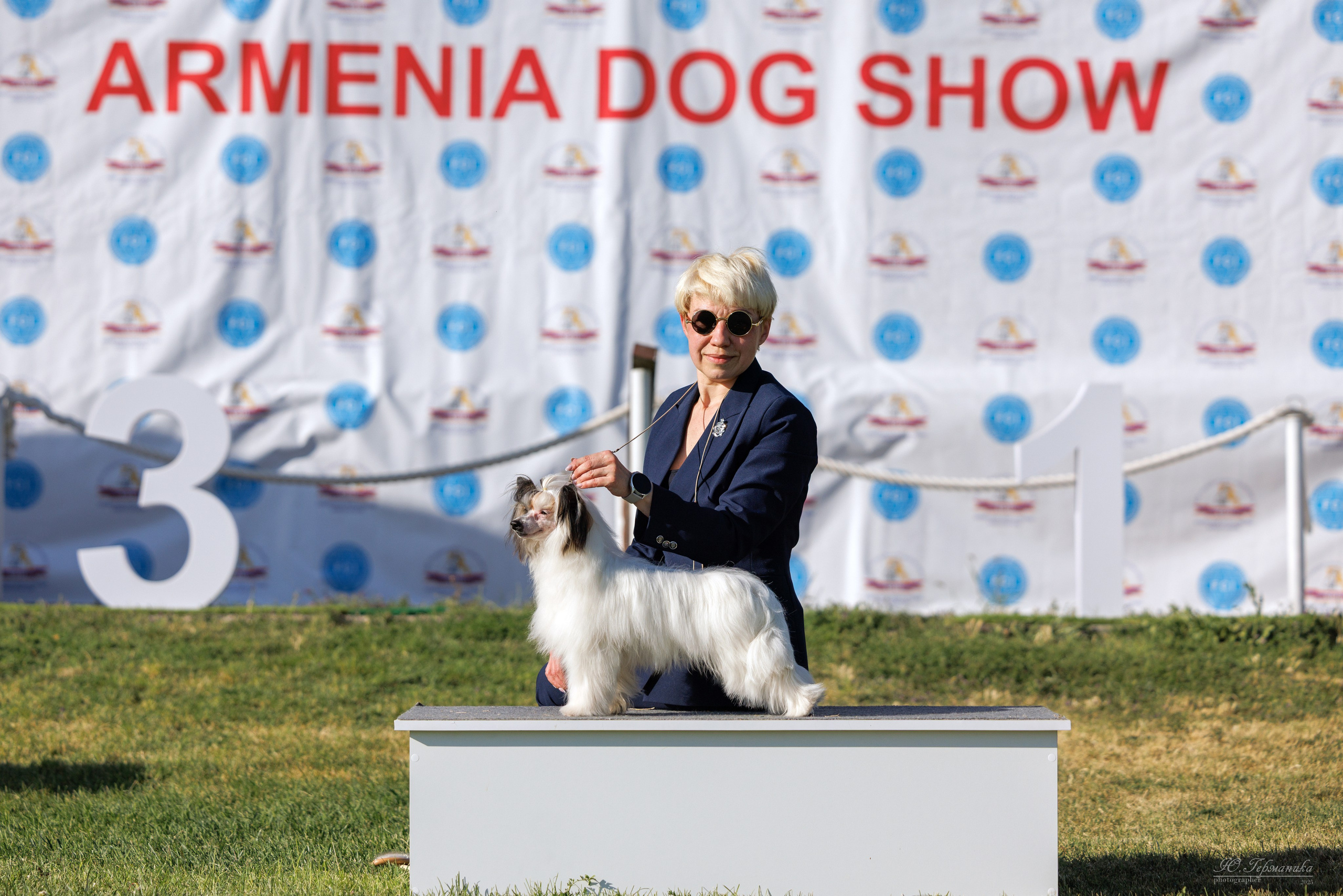 Ереван 3хCACIB 23-25.06.2025. Фотограф-анималист Юлия Германика