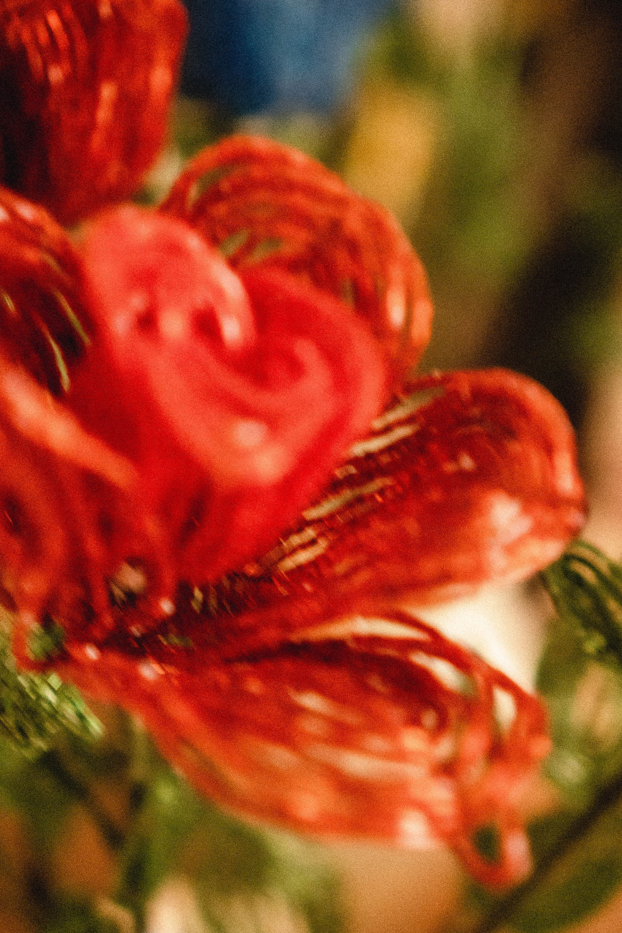 Кавказ. Профессиональный фотограф, Санкт-Петербург — Виктория Богомолова