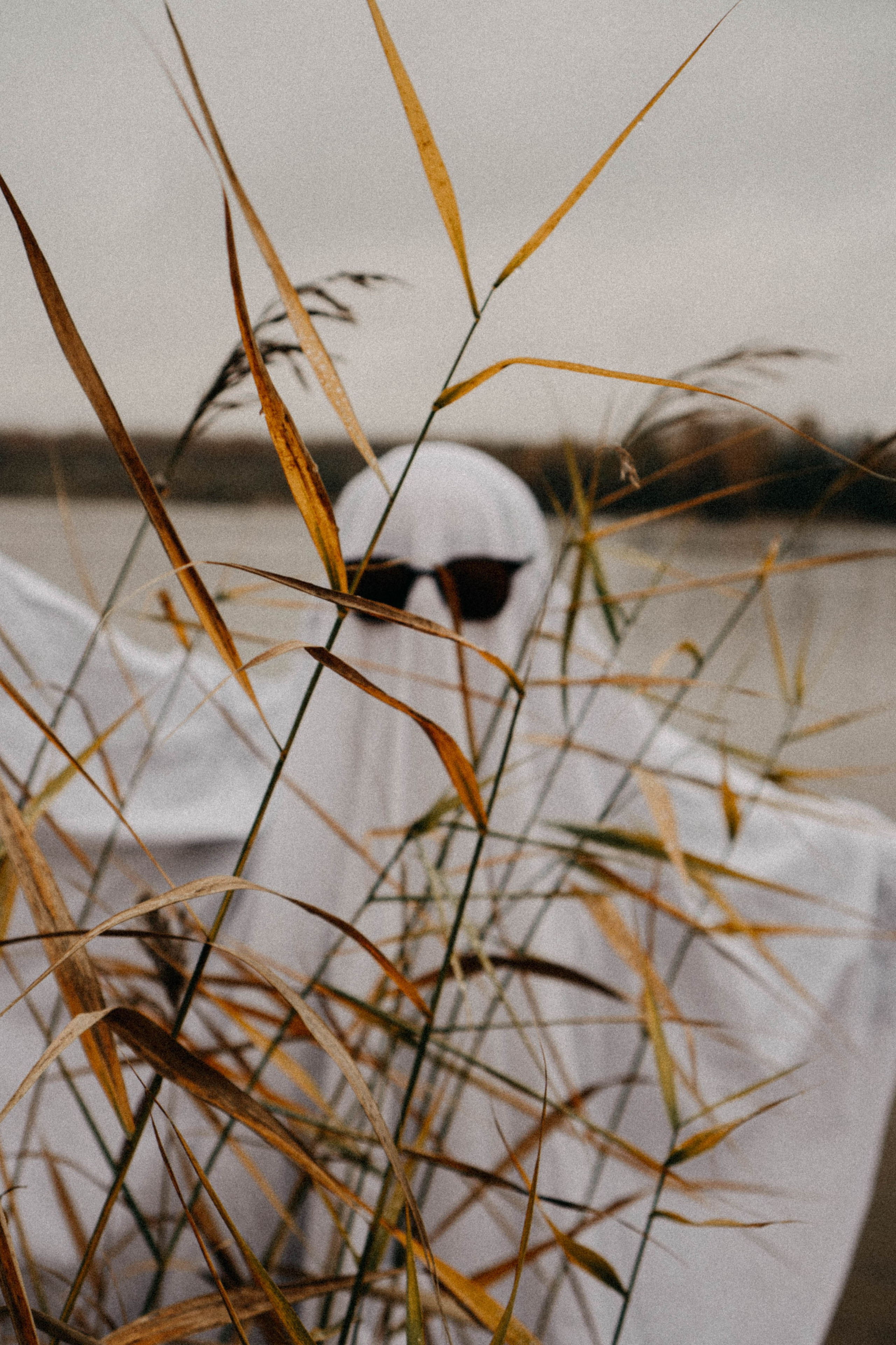 Осеняя. Профессиональный фотограф, Санкт-Петербург — Виктория Богомолова