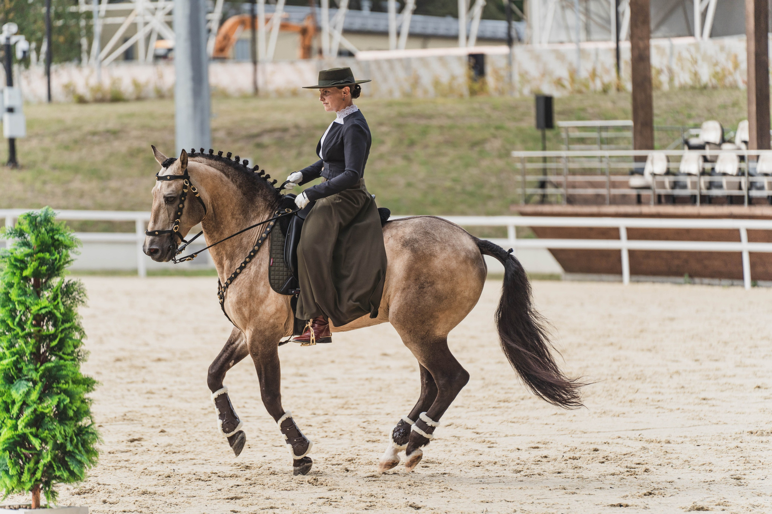 Мастер-класс по рабочей выездке. Фотограф в Москве Ленарская Дарья