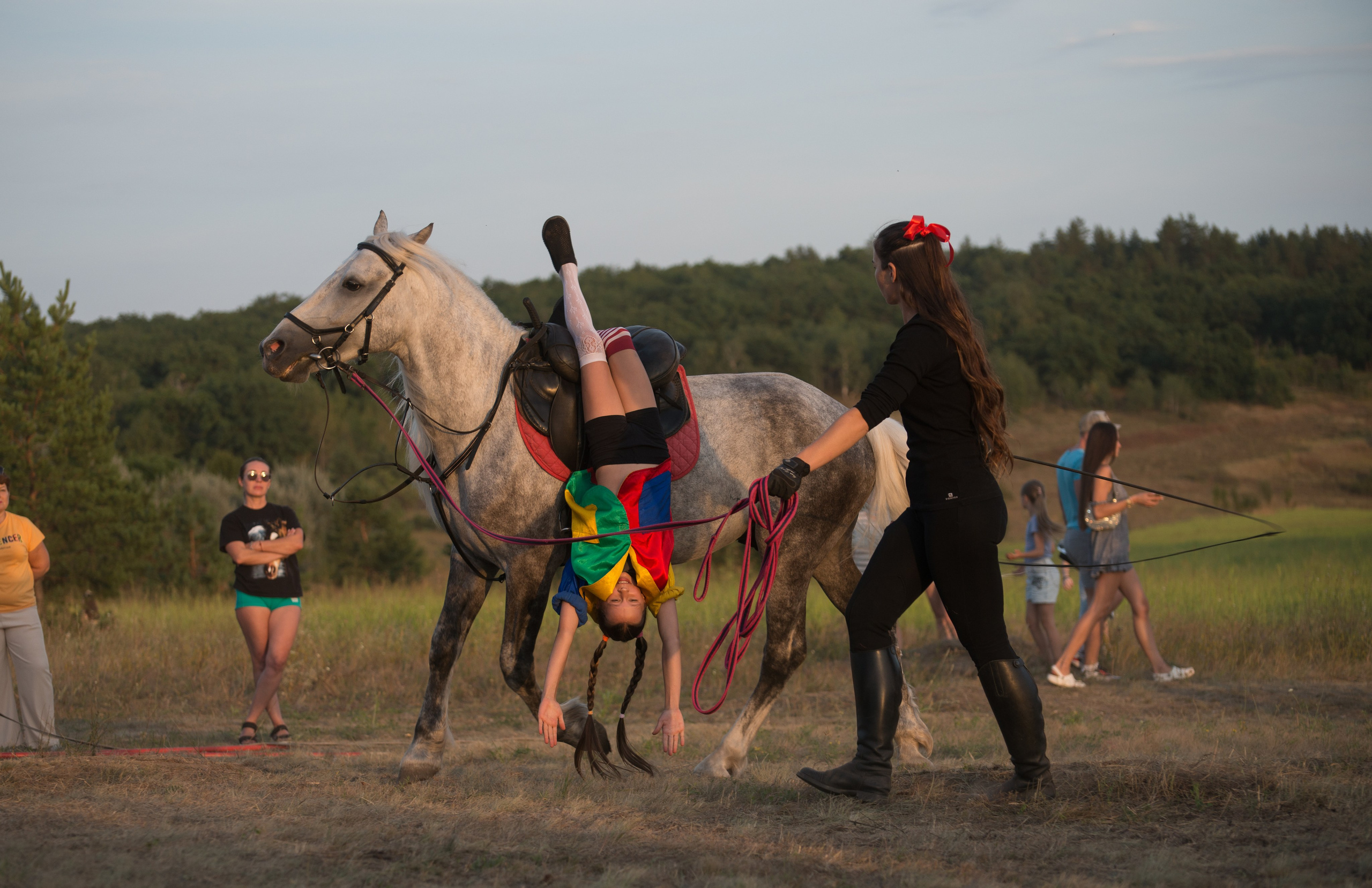 Карнавал Догвинтер. Конный фотограф в Саратове Юлия Иванова