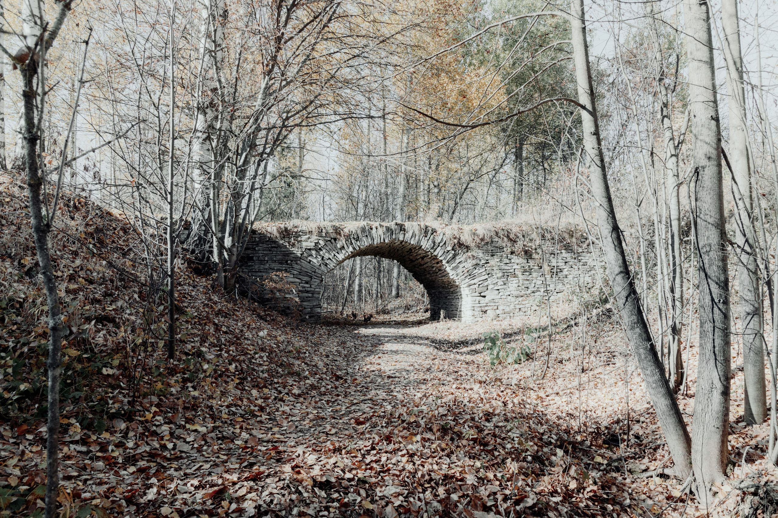 Природа. Фотограф Александр Тихонов