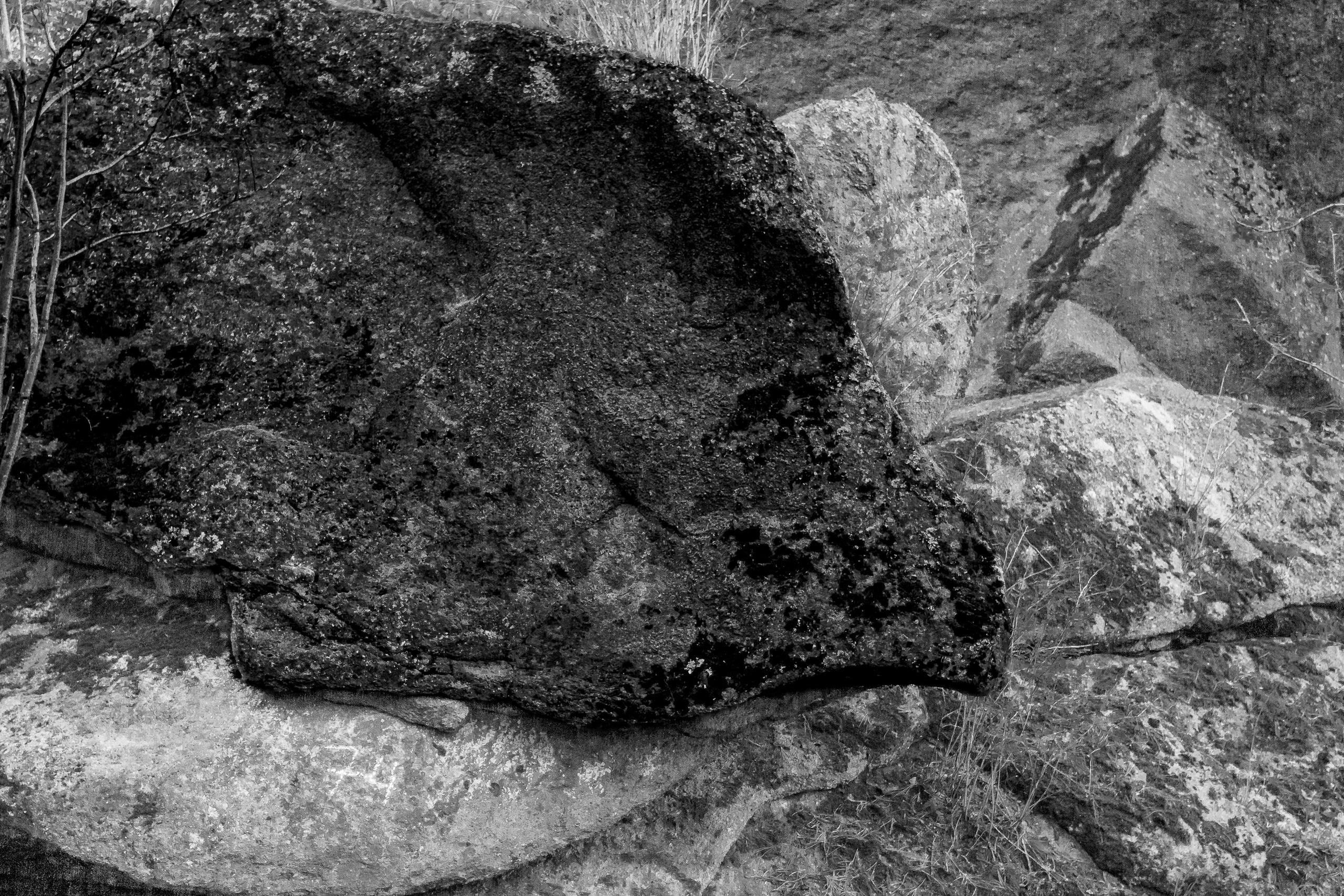 Серия «Горные обитатели». Фотограф в Москве Татьяна Макотра