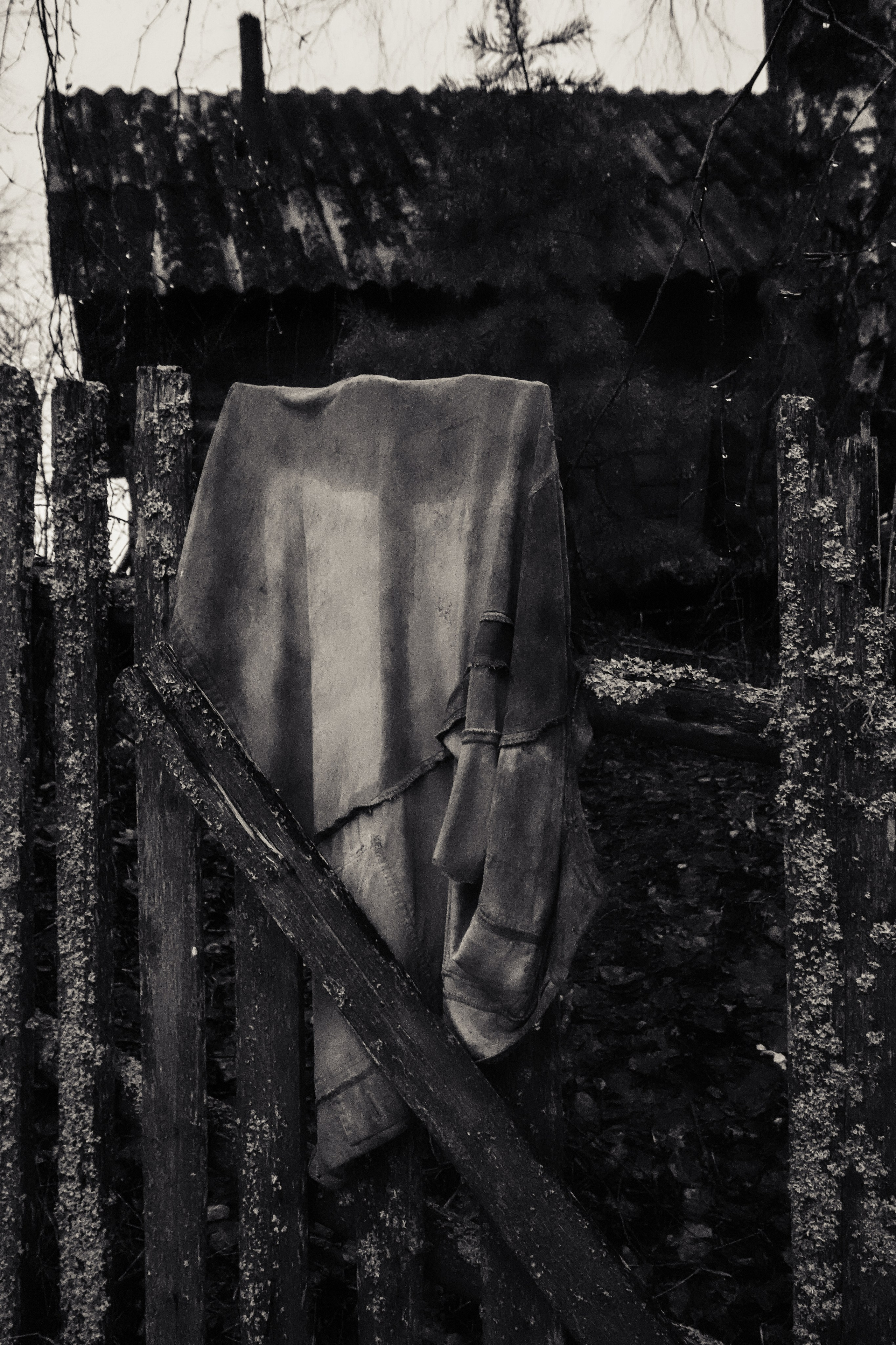 Пленишник. Фотограф Алиса Аспер