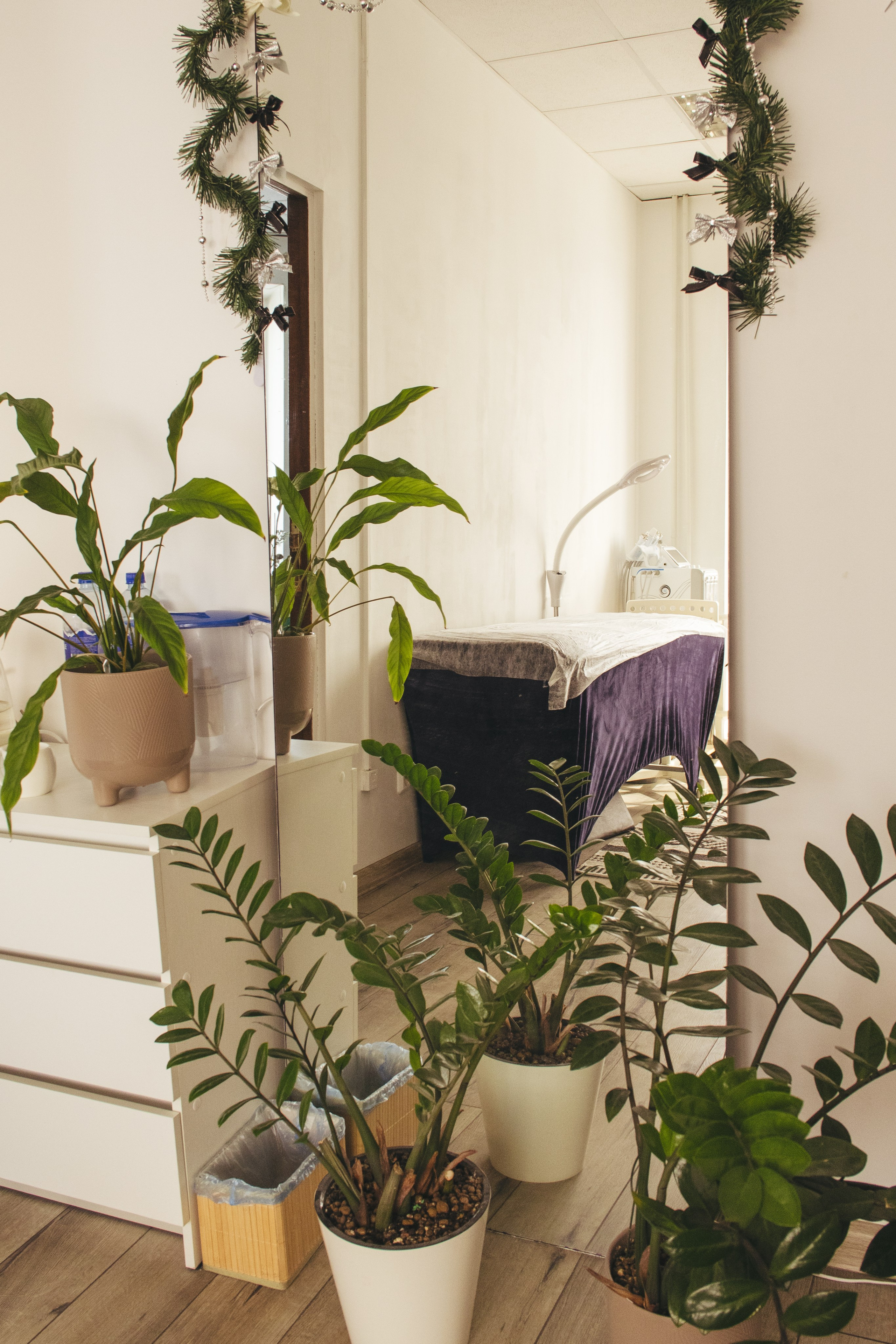 Косметологический кабинет с зеленой зоной