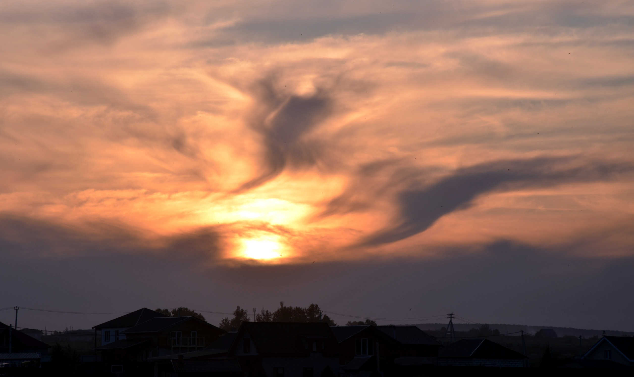 Дары природы. Фотограф viktor viktor