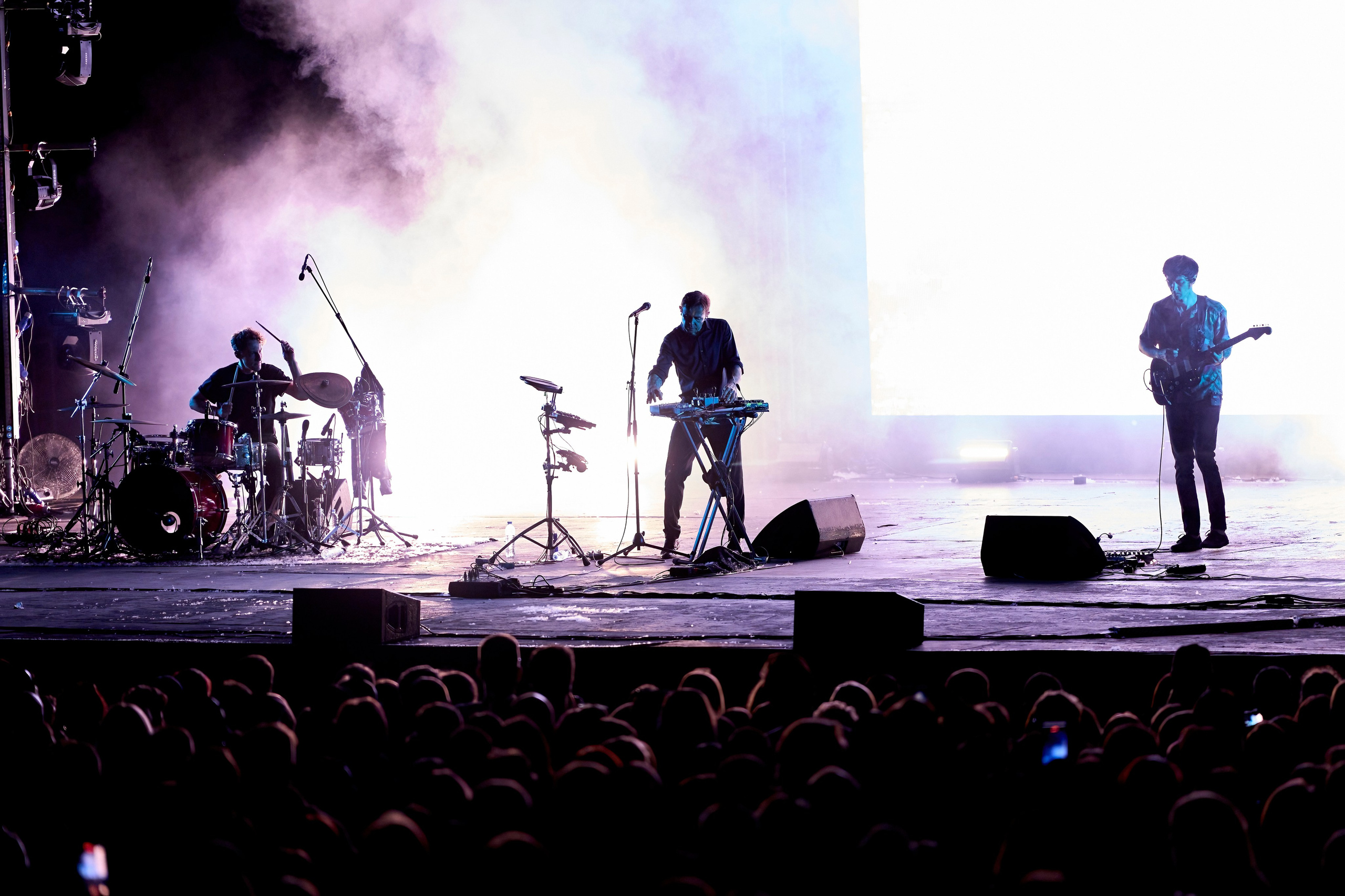 ДЕЛЬФИН / ЗЕЛЕНЫЙ ТЕАТР / 09.06.2024. Ekhovanov | фото- видеосъемка