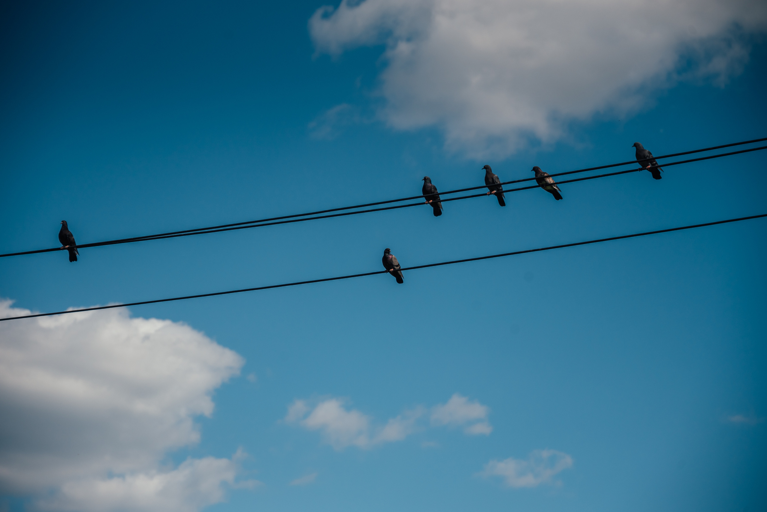 Лиля и дети. Психолог и лайфстайл фотограф Михина Татьяна