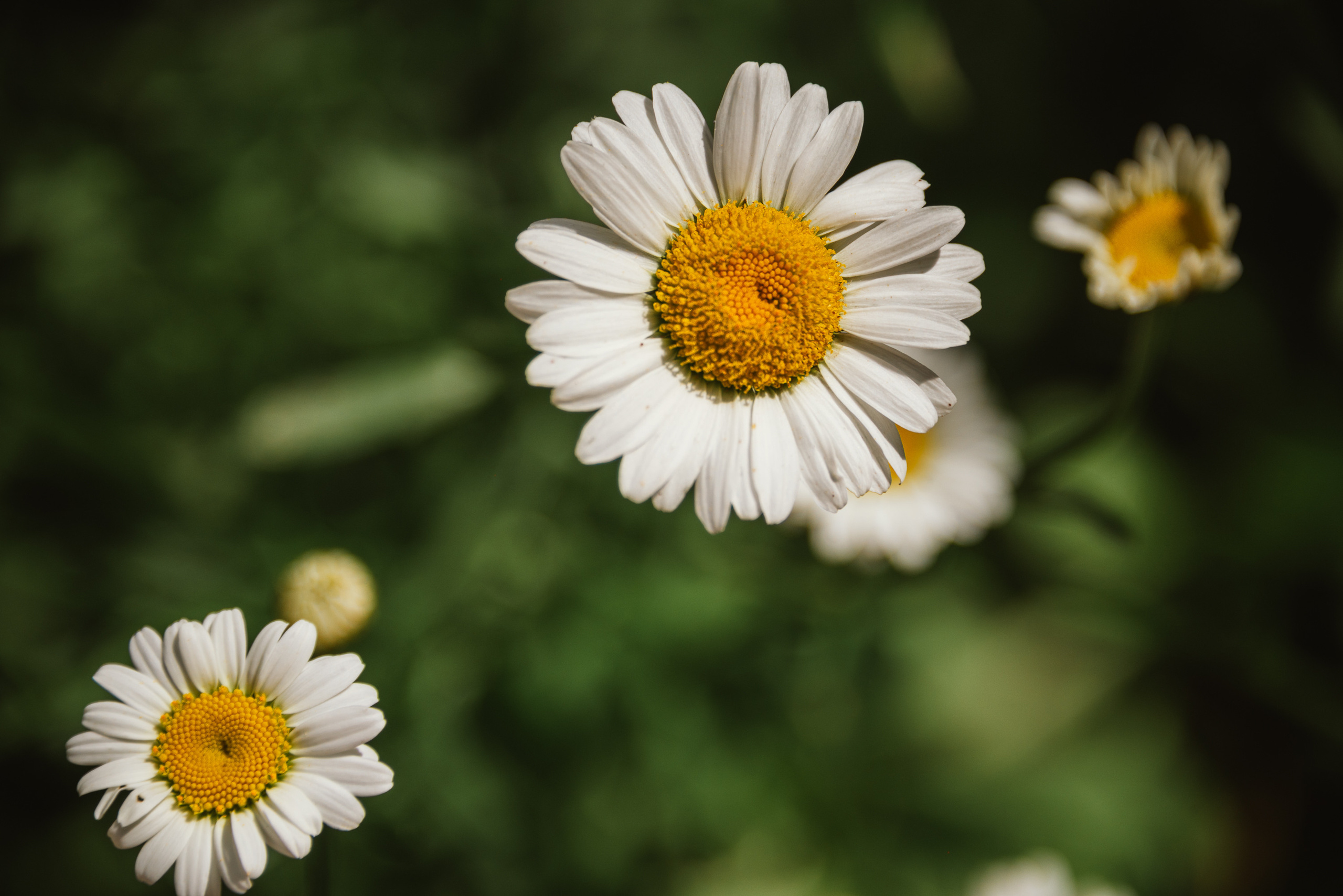 Марина. Психолог и лайфстайл фотограф Михина Татьяна