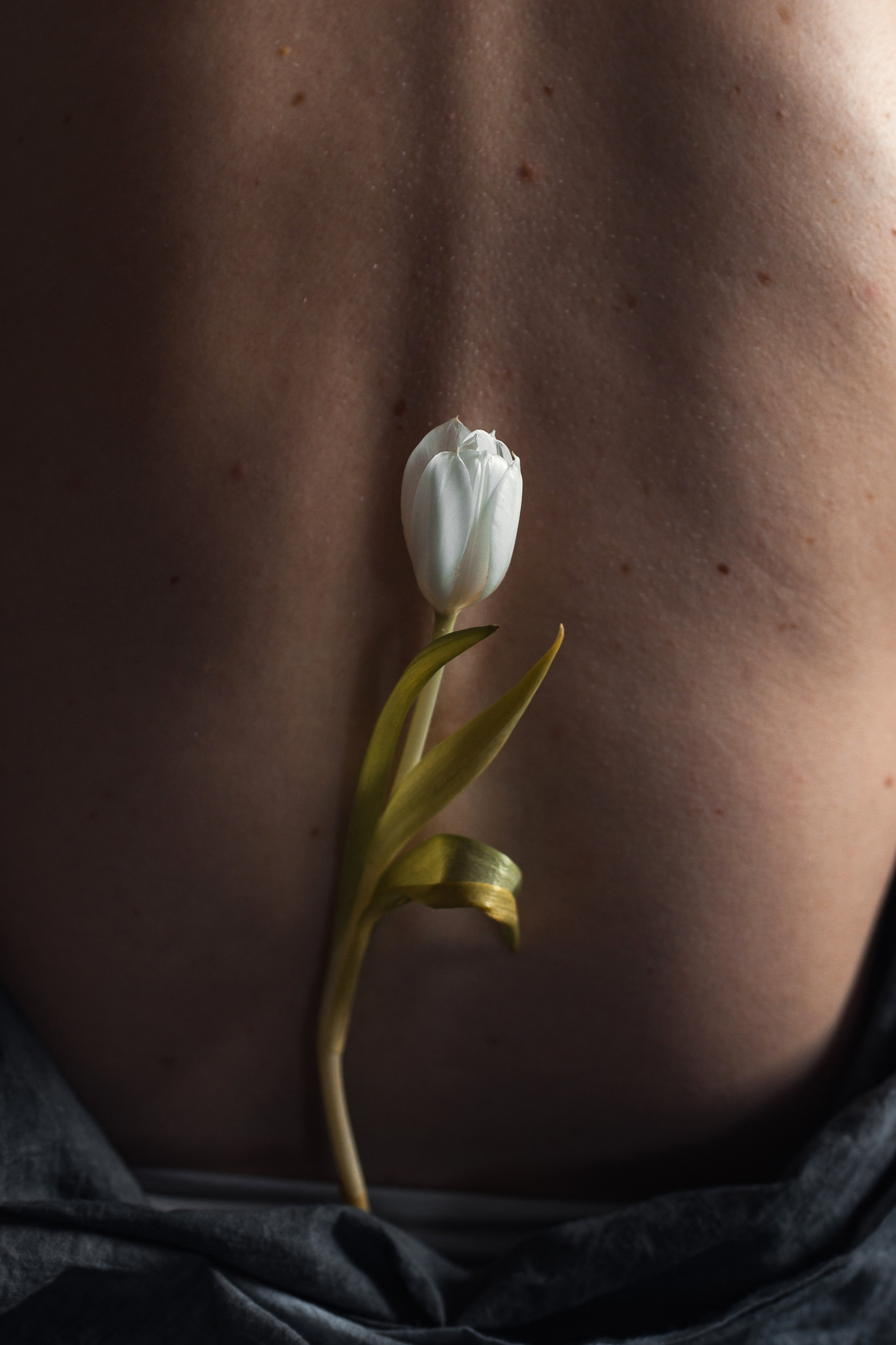 Женская фотосъемка. Семейный фотограф Псков. Спб.|Анастасия Войналович