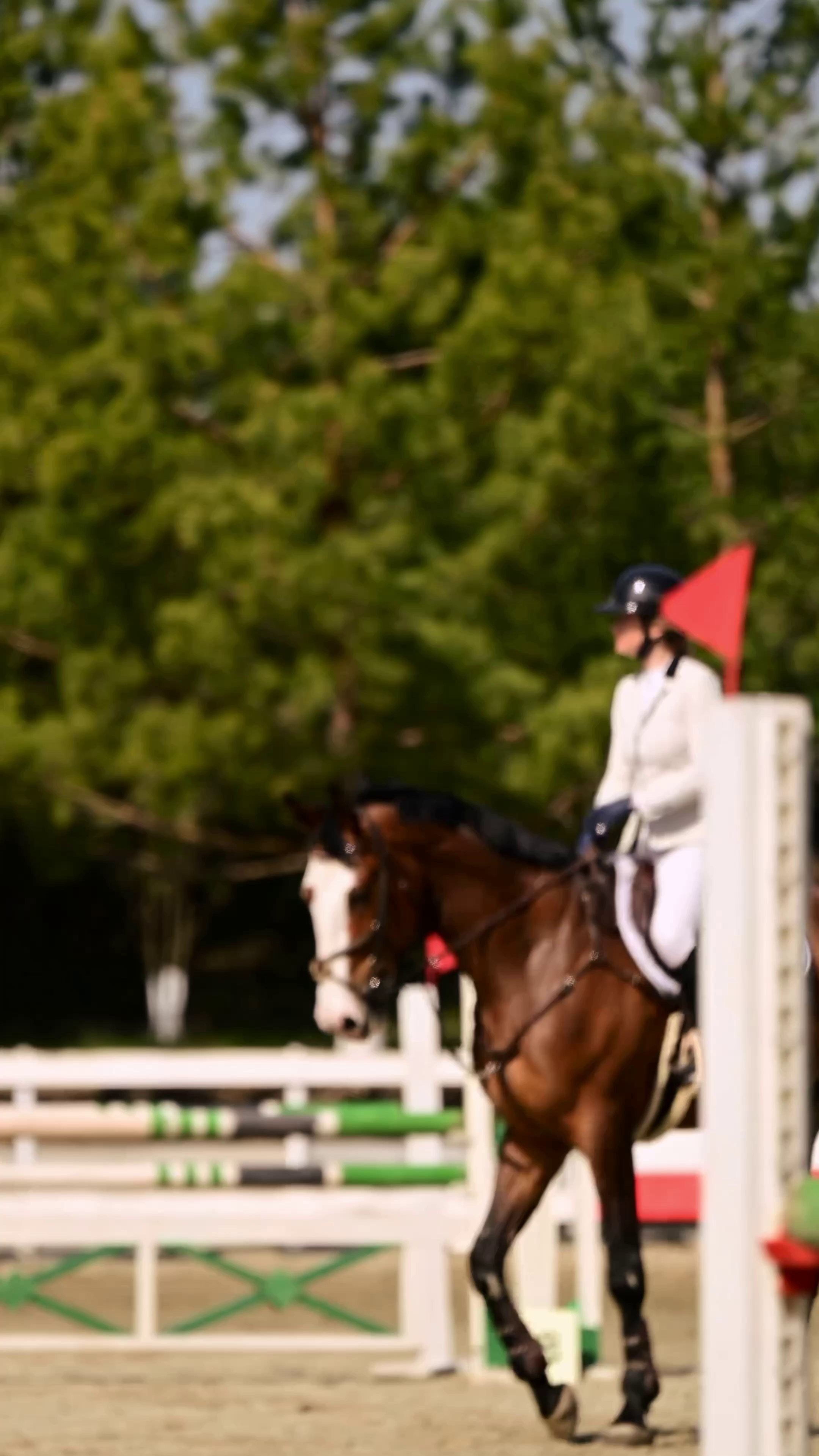 Видео Конкур|Рысистые бега. Мила Астахова