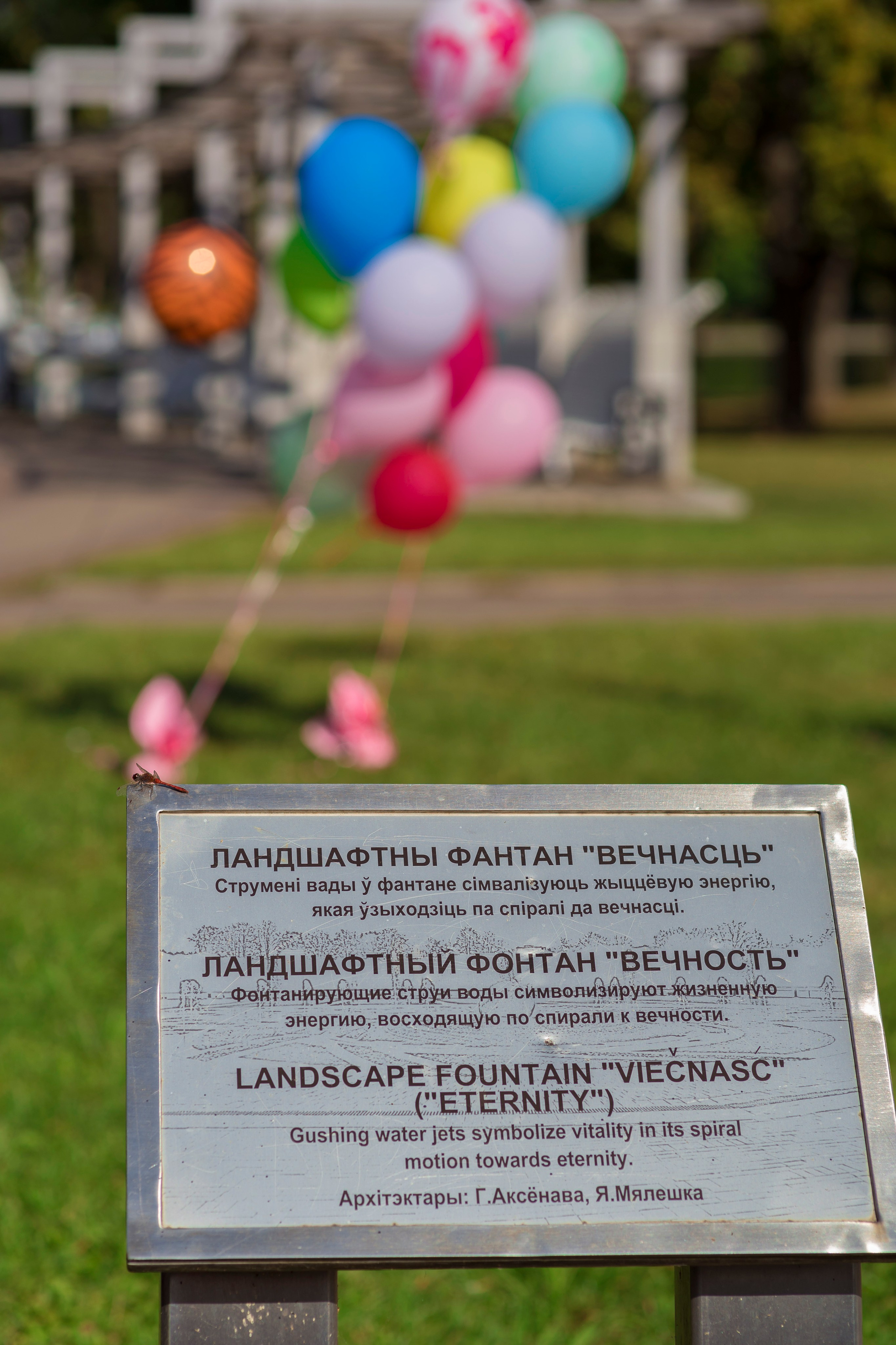 Александра 5 лет. Фотограф Крещения и Венчания. Минск и другие города. Почтенная Наташа