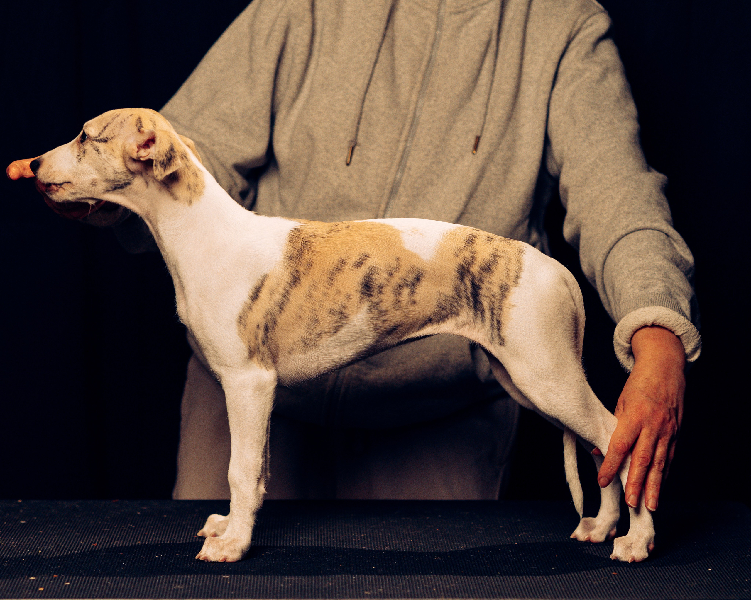 Детки-конфетки. Анна Самохина. Фотограф. Москва