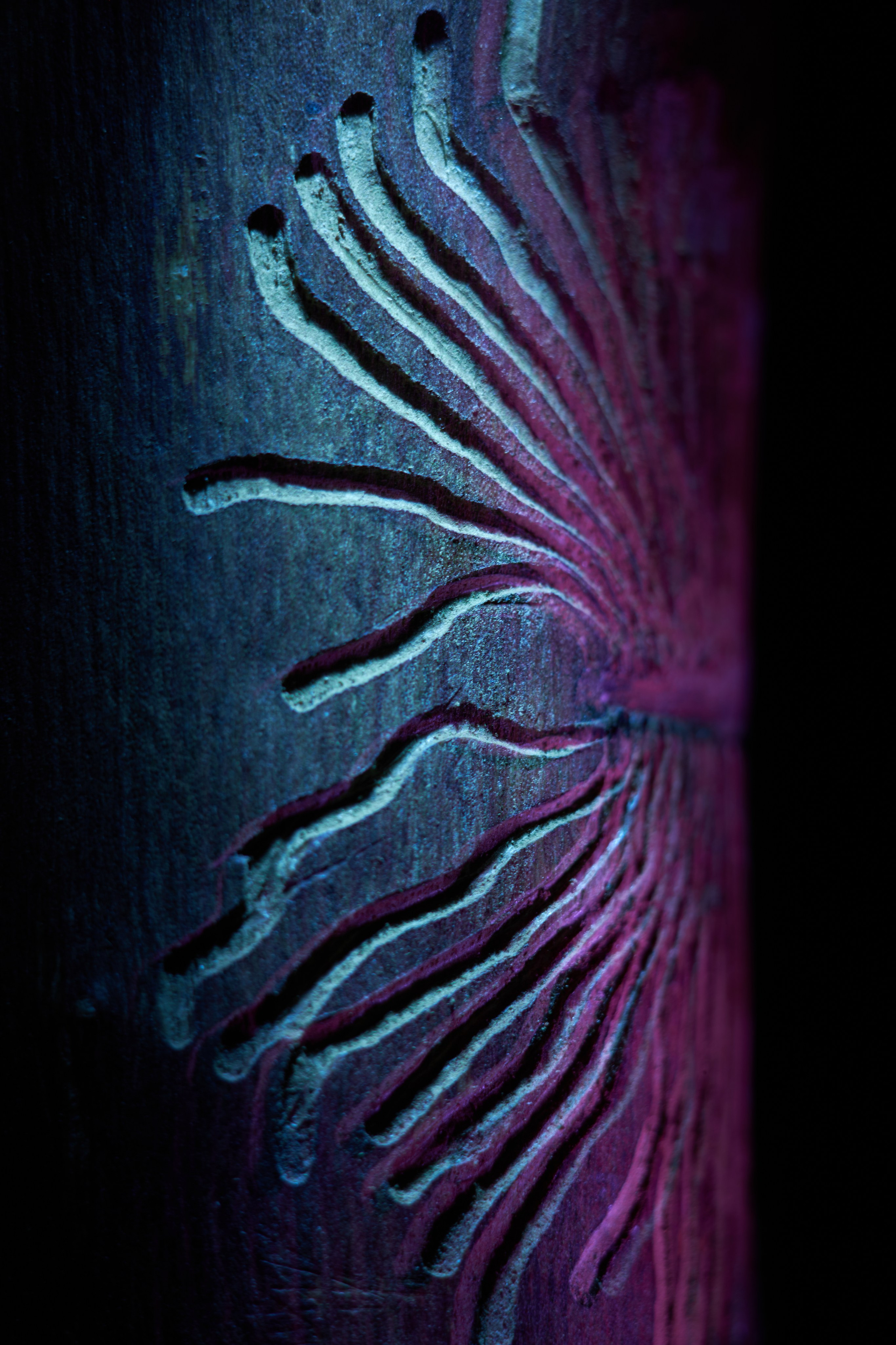 «Красок Тьма Полна». Арт-фотограф во Владивостоке Дмитрий Осипчук