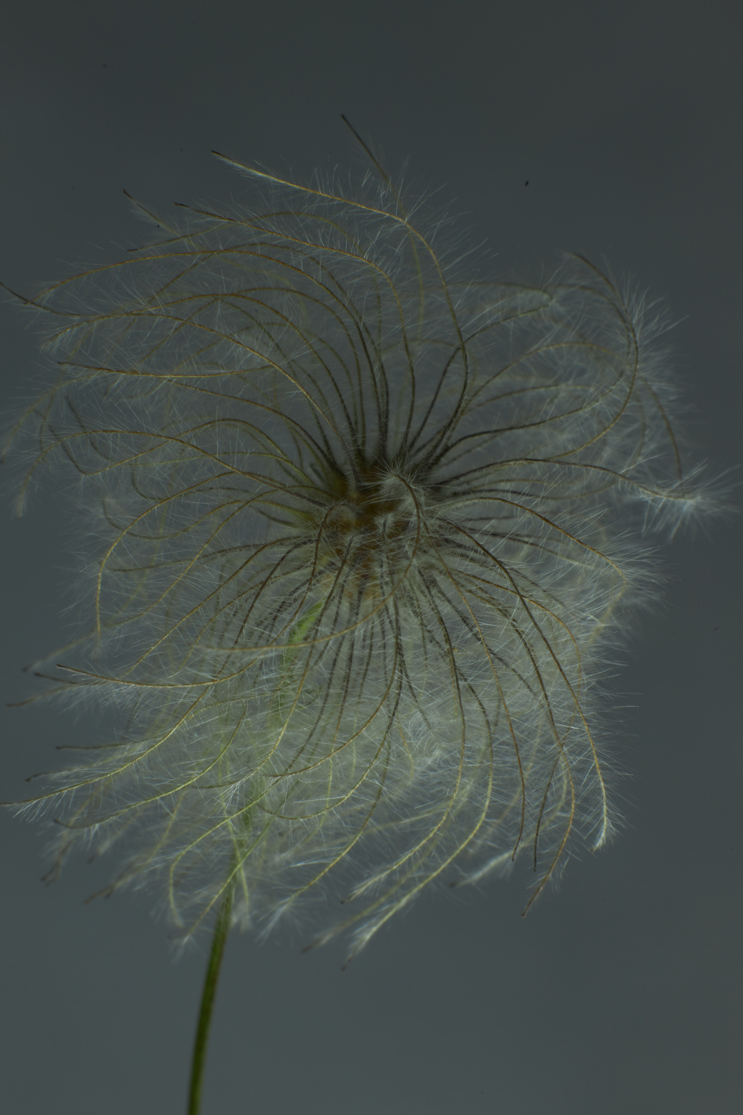 «Красок Тьма Полна». Арт-фотограф во Владивостоке Дмитрий Осипчук