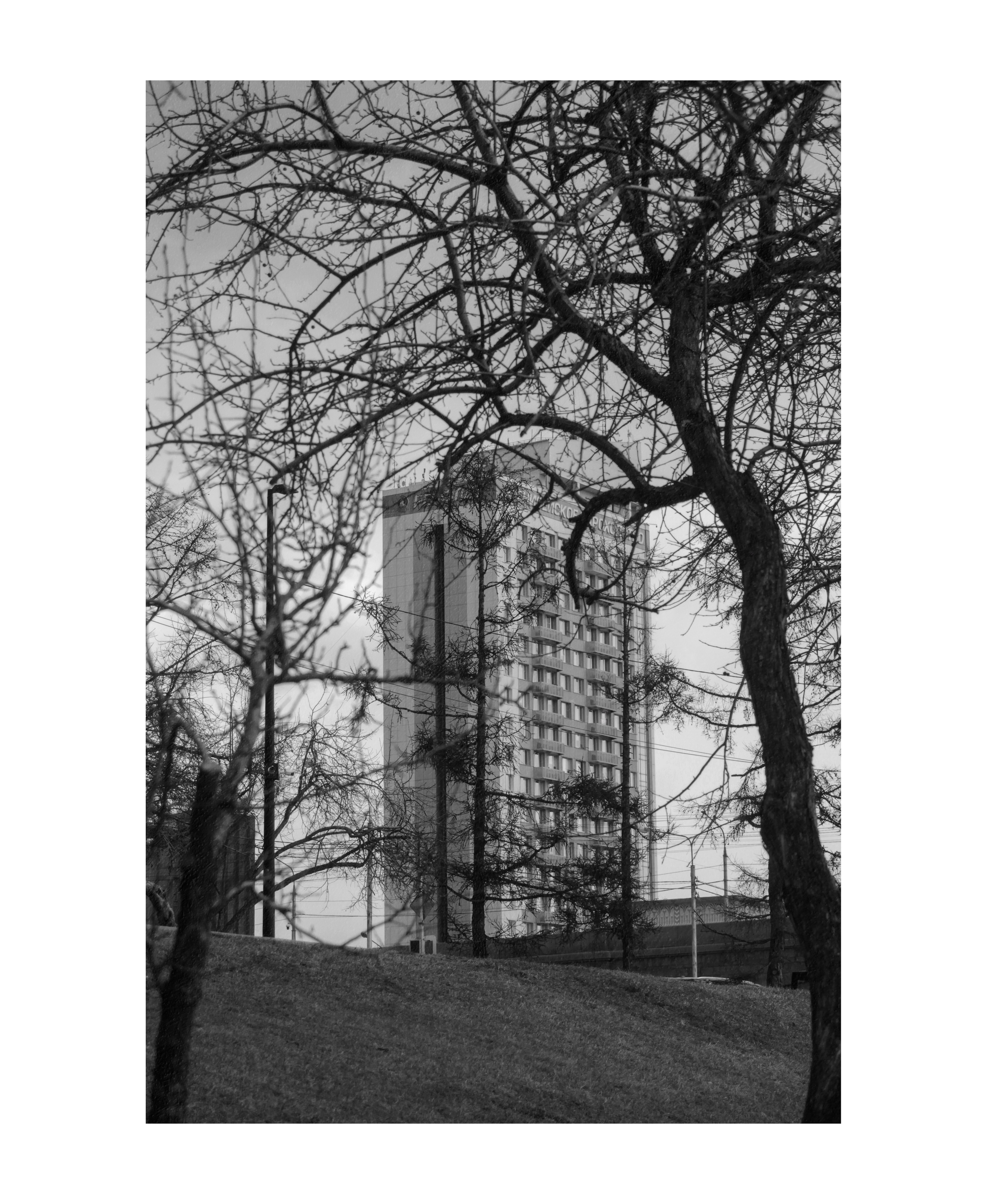 22.04.2023 | Красноярск. Kuznetsov | Фотограф в Красноярске