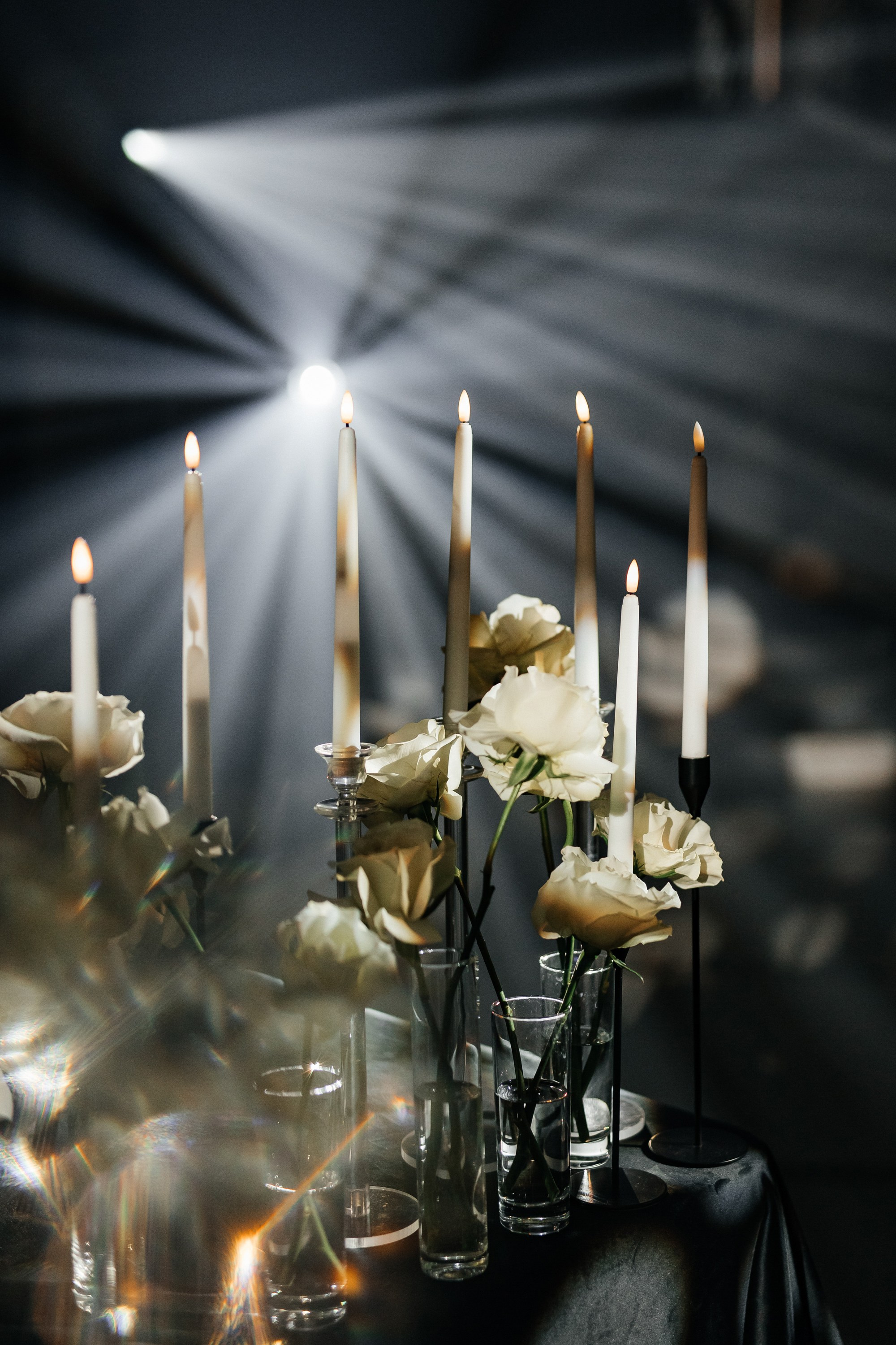 D&S. Фотограф Таганрог Хребет София