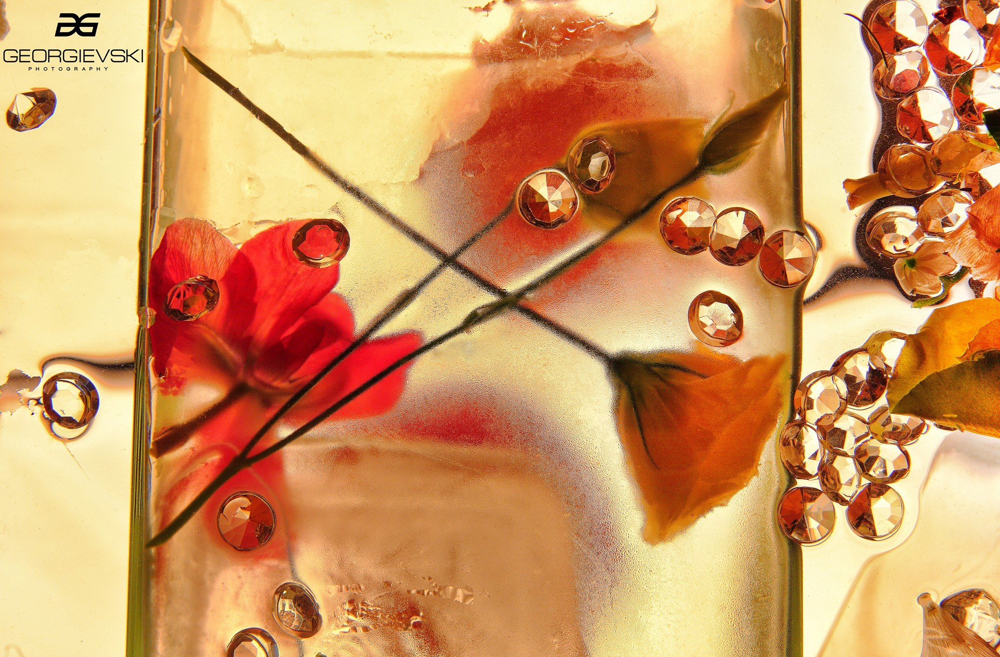 FINE ART. Denisgeorgievski