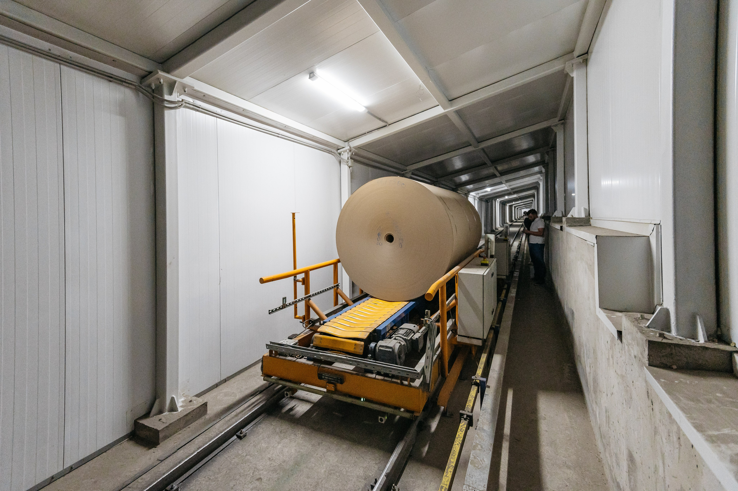 Проекты. Профессиональный фотограф Вячеслав Плацында | Липецк |