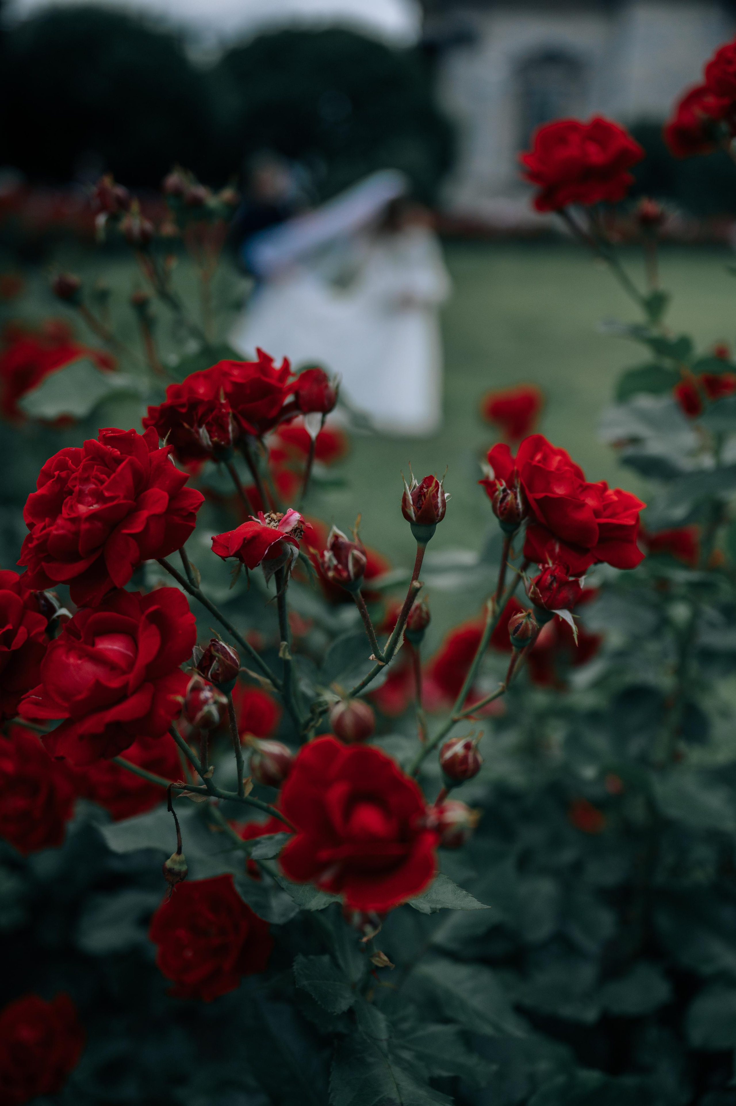 Елизавета и Сергей