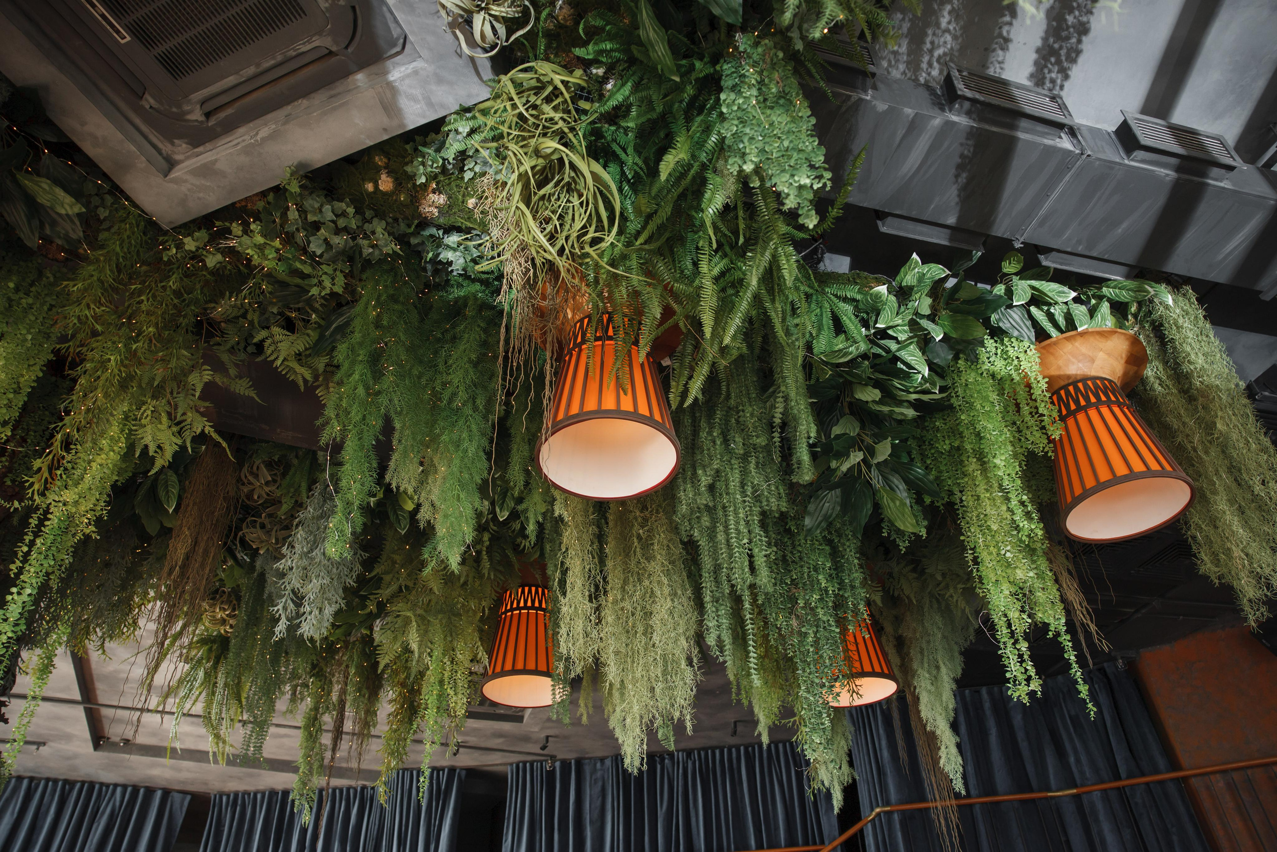 Венера и Надир, Birds, башня «Око». Свадебный и репортажный фотограф (Москва, Королев и другие)