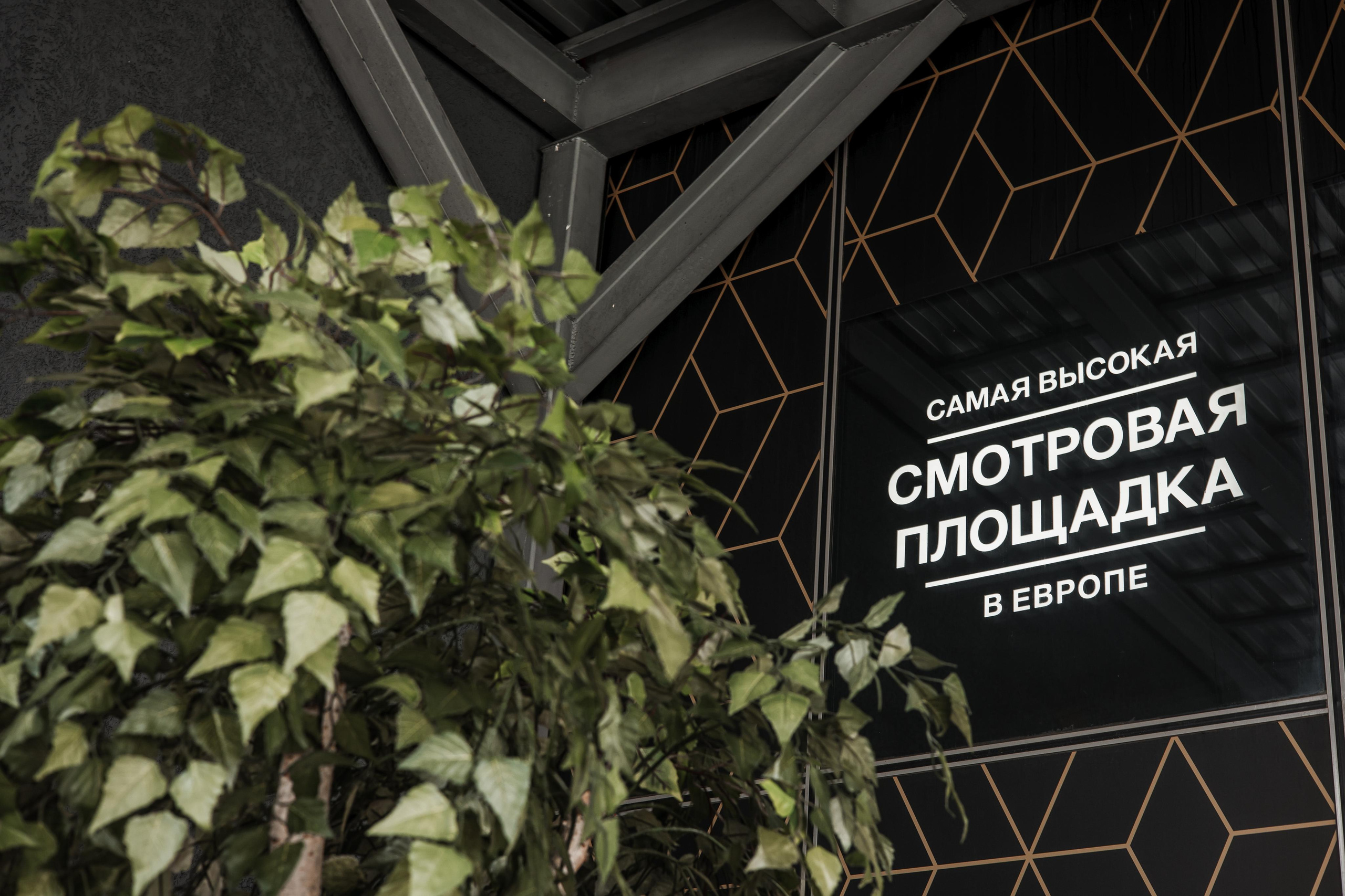 Венера и Надир, Birds, башня «Око». Свадебный и репортажный фотограф (Москва, Королев и другие)