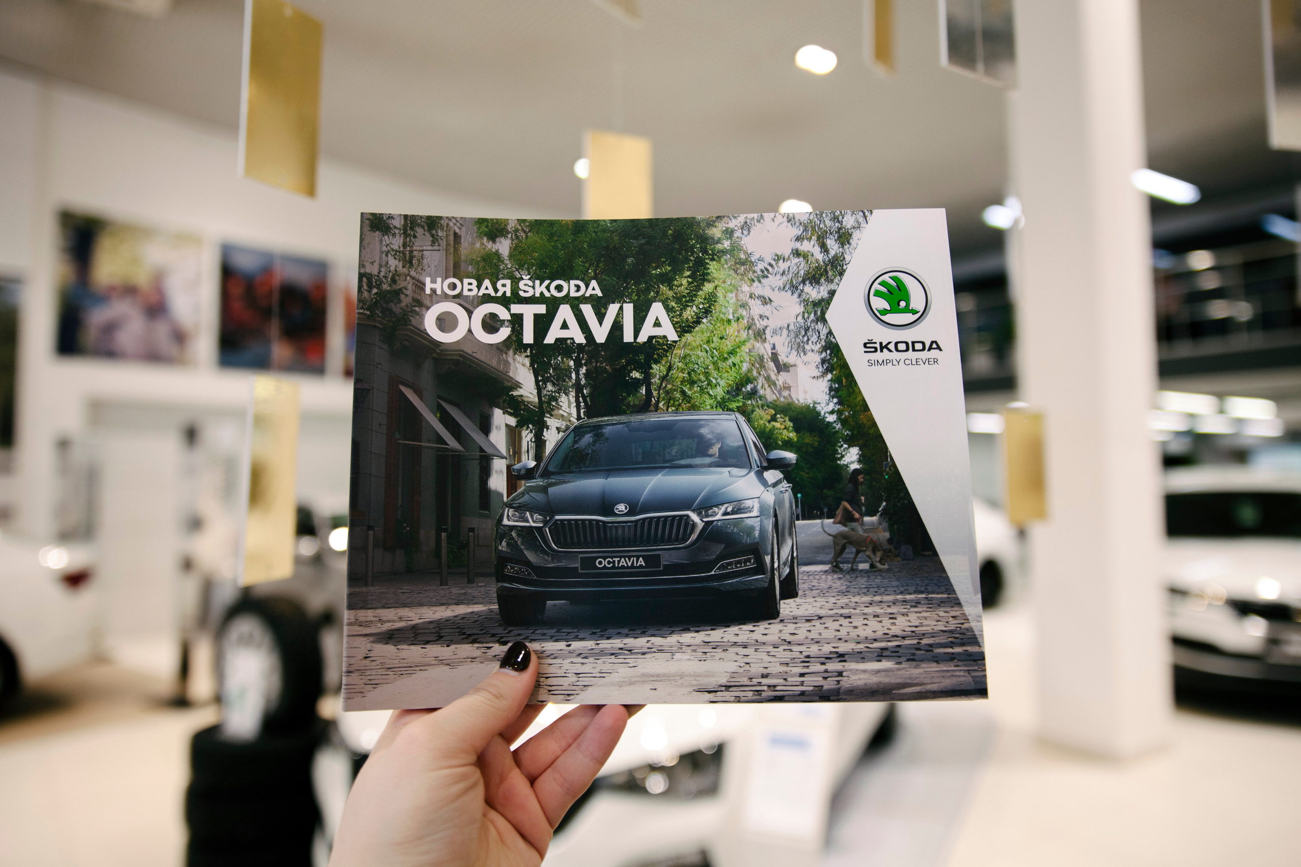 Репортаж Шкода. Свадебный фотограф Дарья Свет