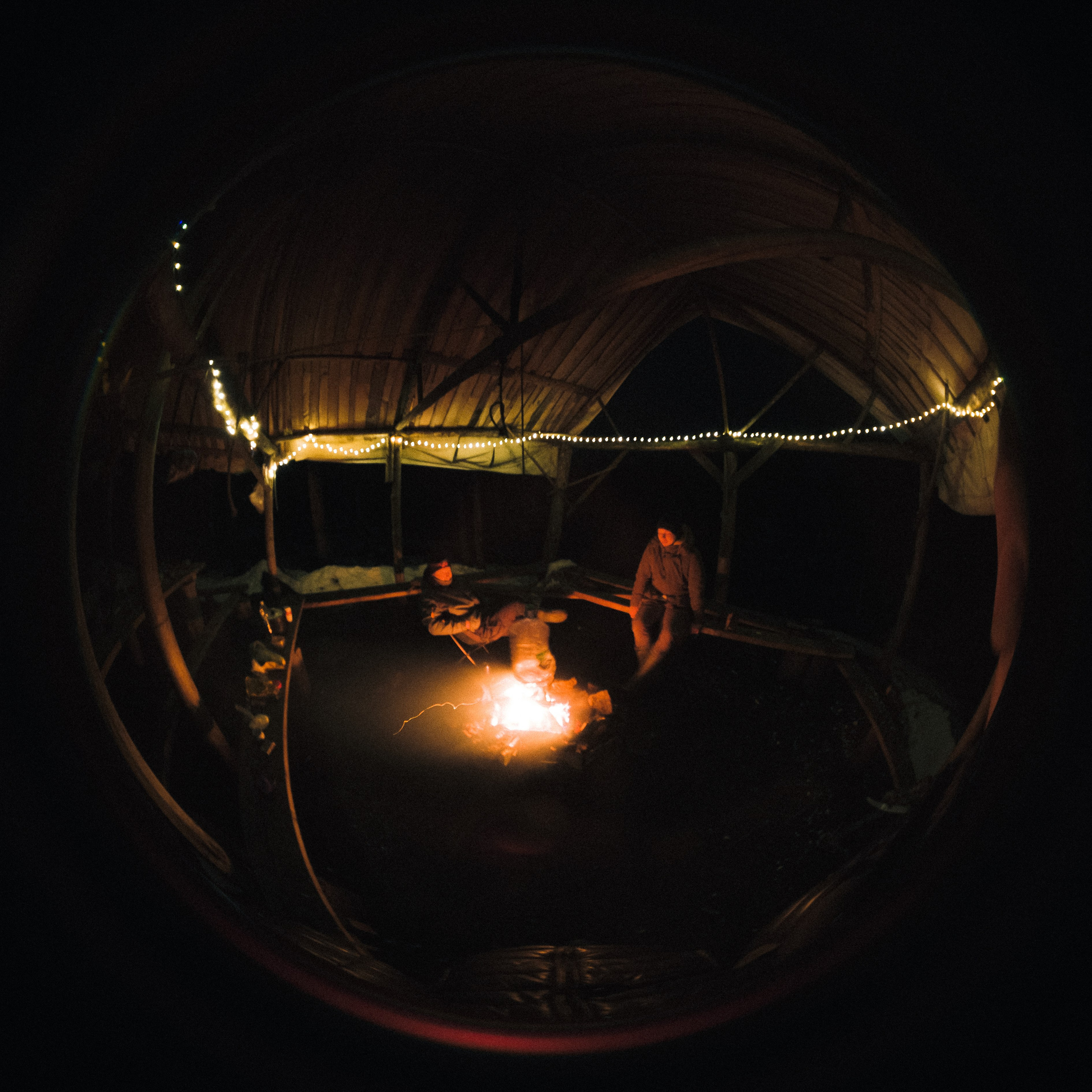 Ястребинное | январь 2025