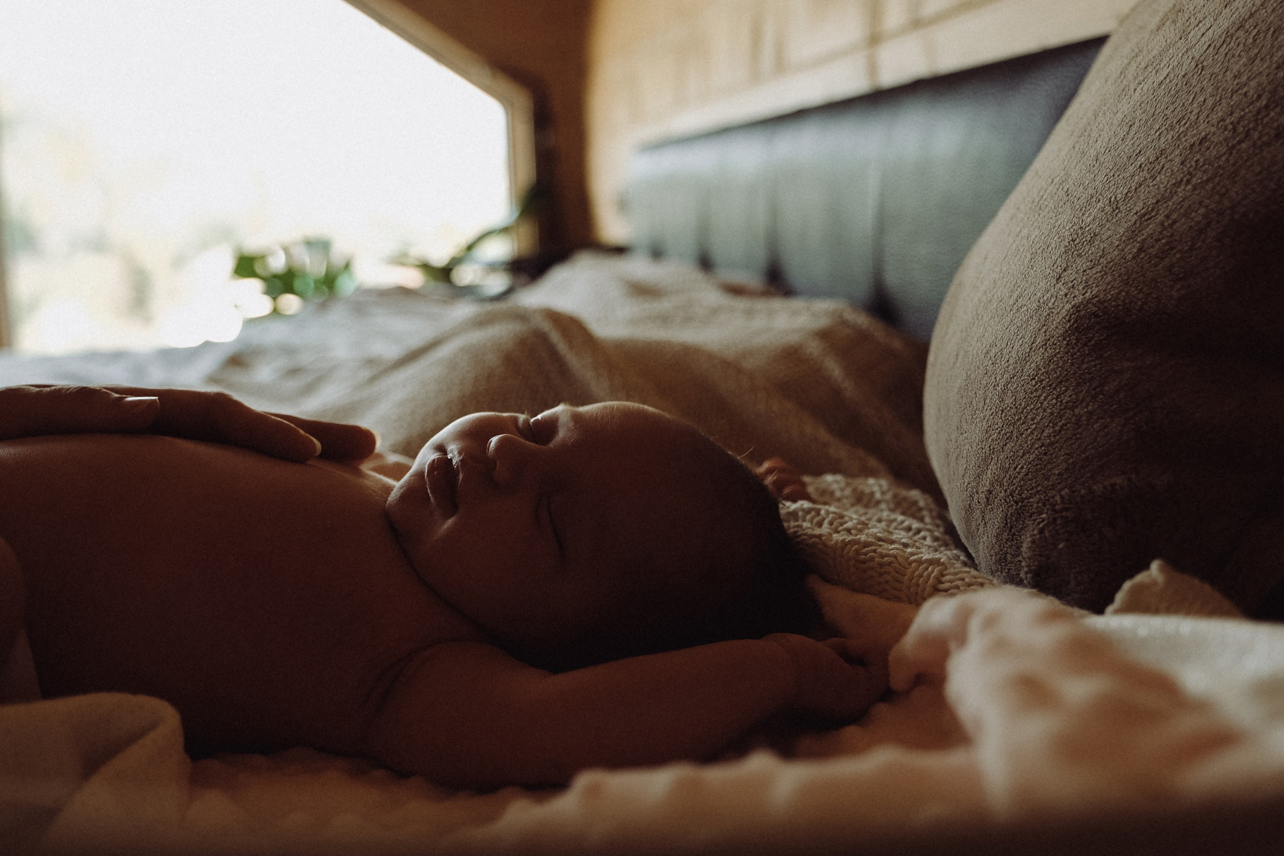 Семья Оливии. Семейный фотограф Москва