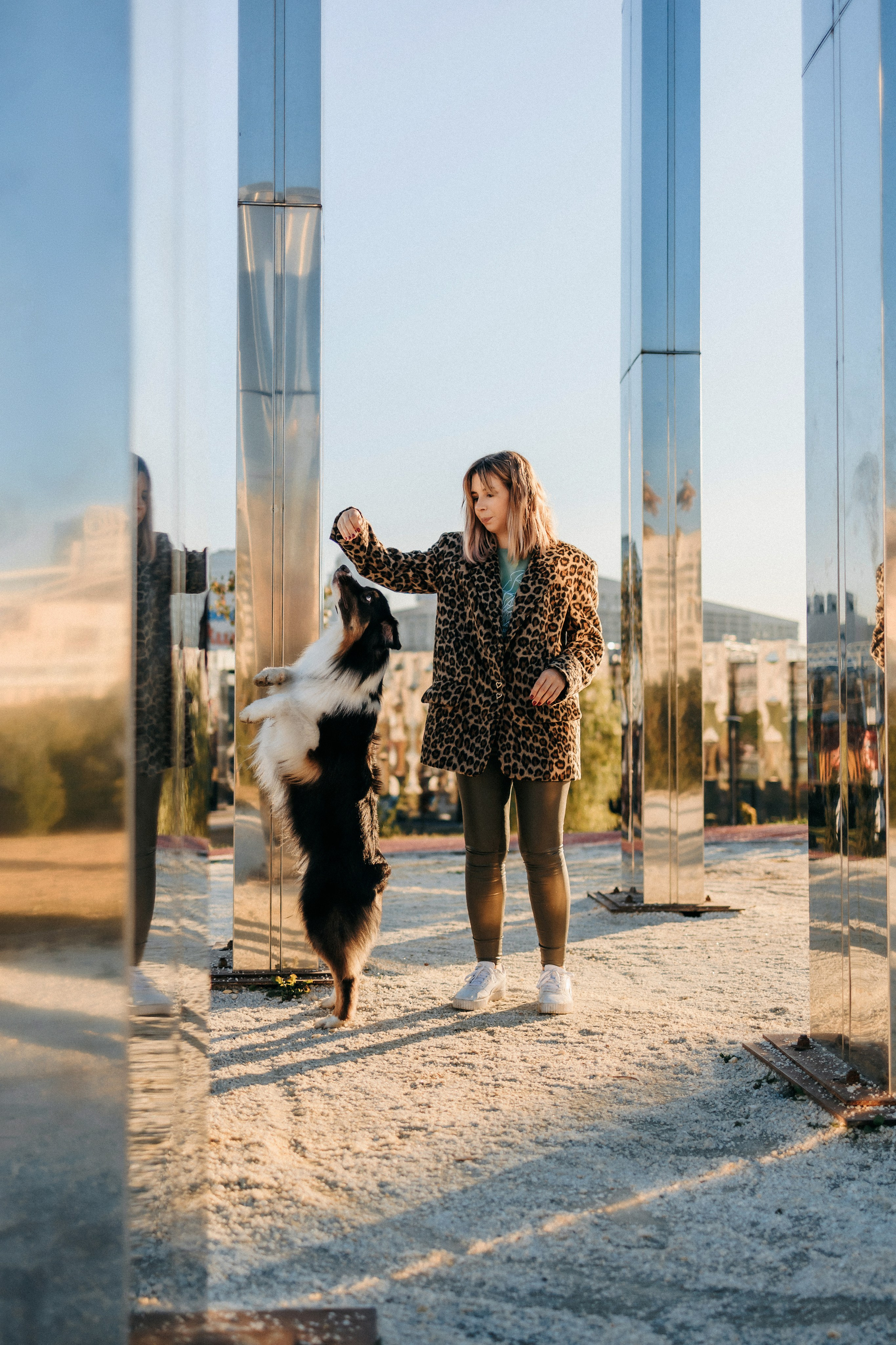 Аня, Чарли и Ева. Фотограф-анималист Елена Радченко, Москва