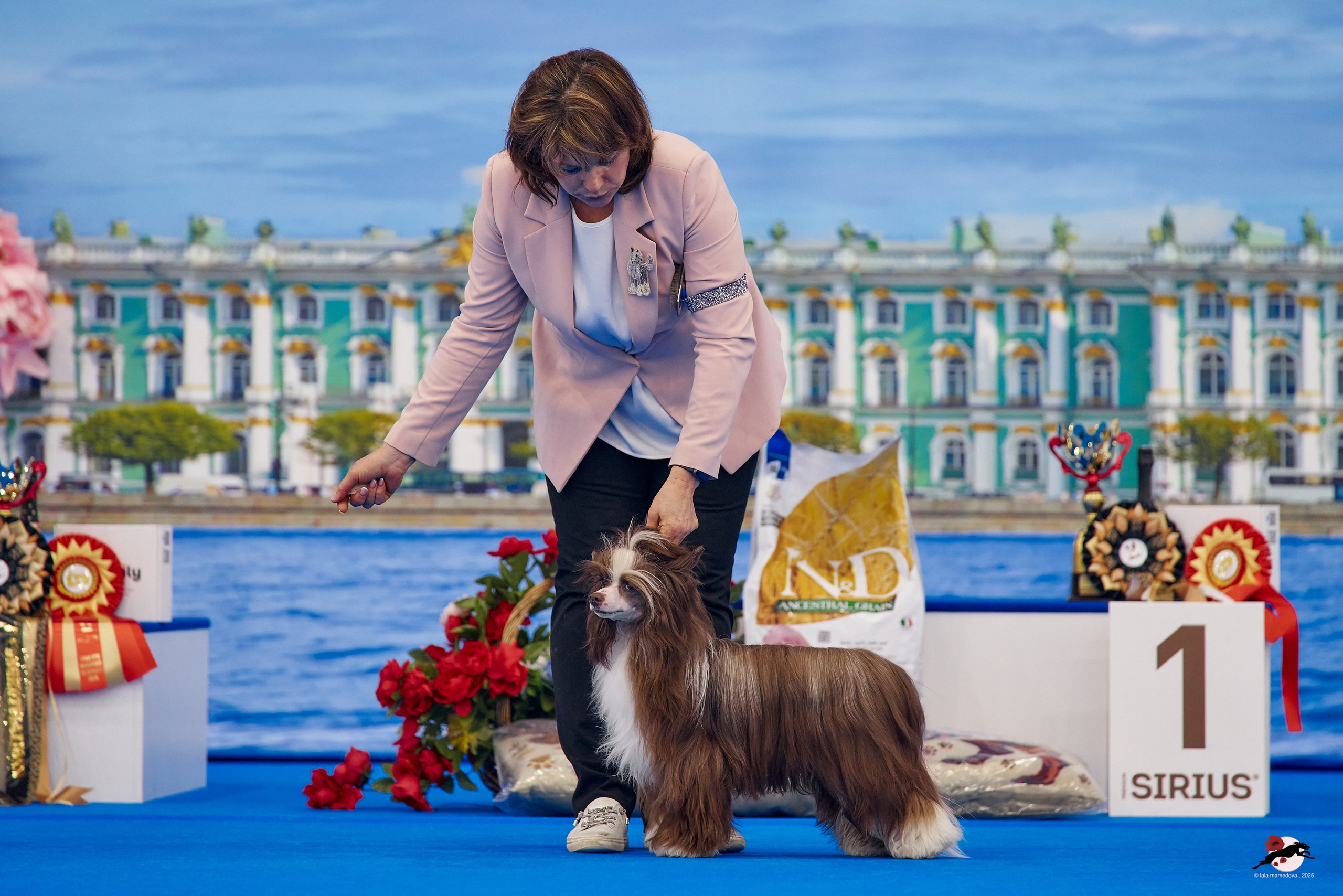 27.04.2025 | "Петербург-Элита 2025" & «КУБОК «ЭЛИТЫ»-2025»